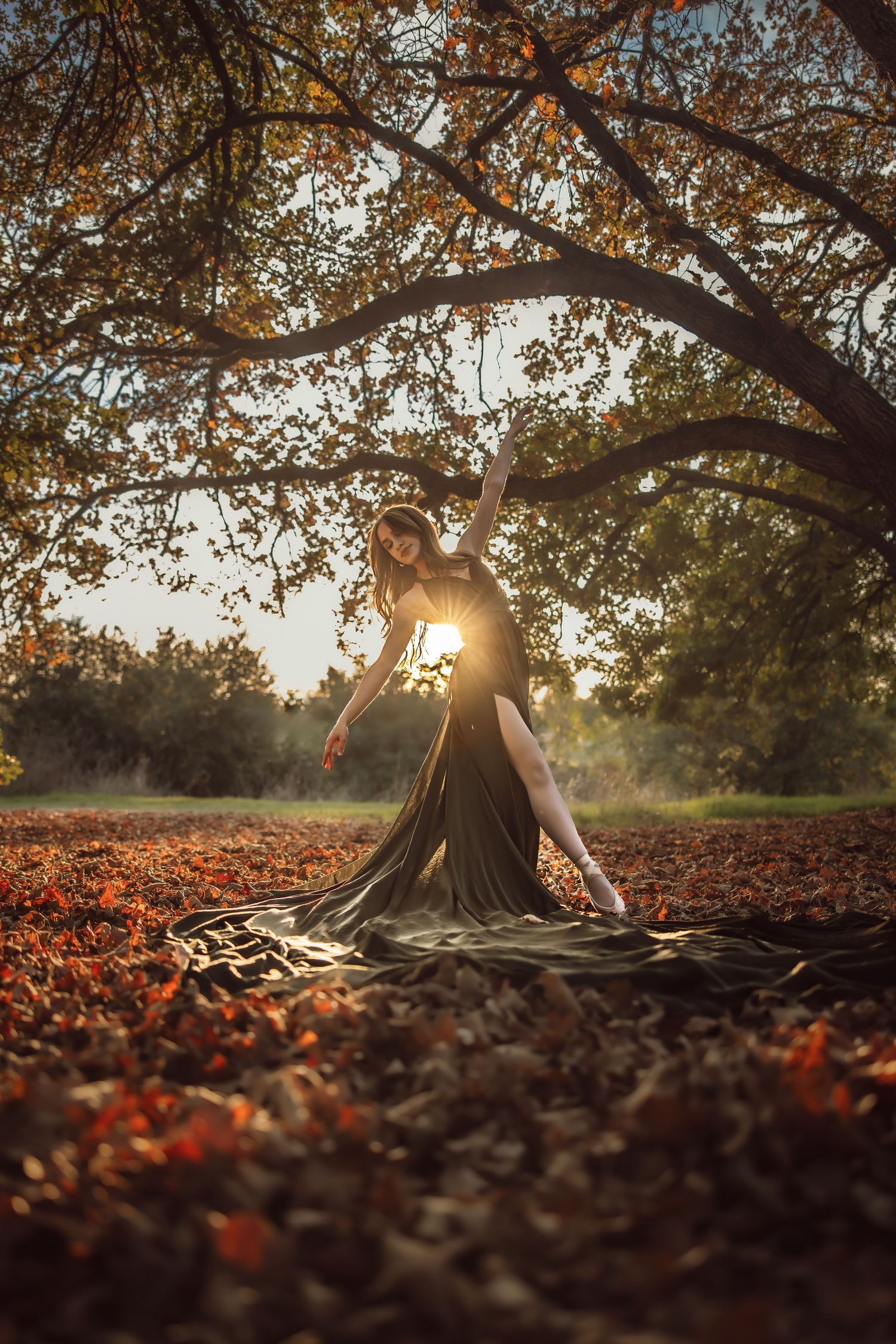A figure in a flowing black dress sits among fallen autumn leaves under a tree at sunset with sunlight streaming through branches.
