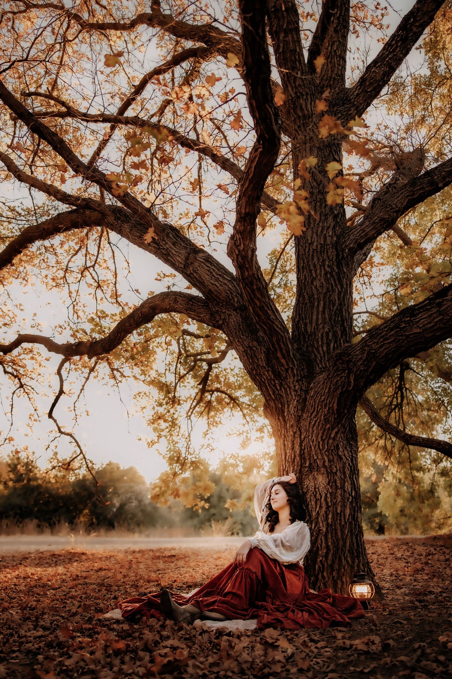 A dreamy autumn scene with a figure sitting beneath a large oak tree with golden leaves.