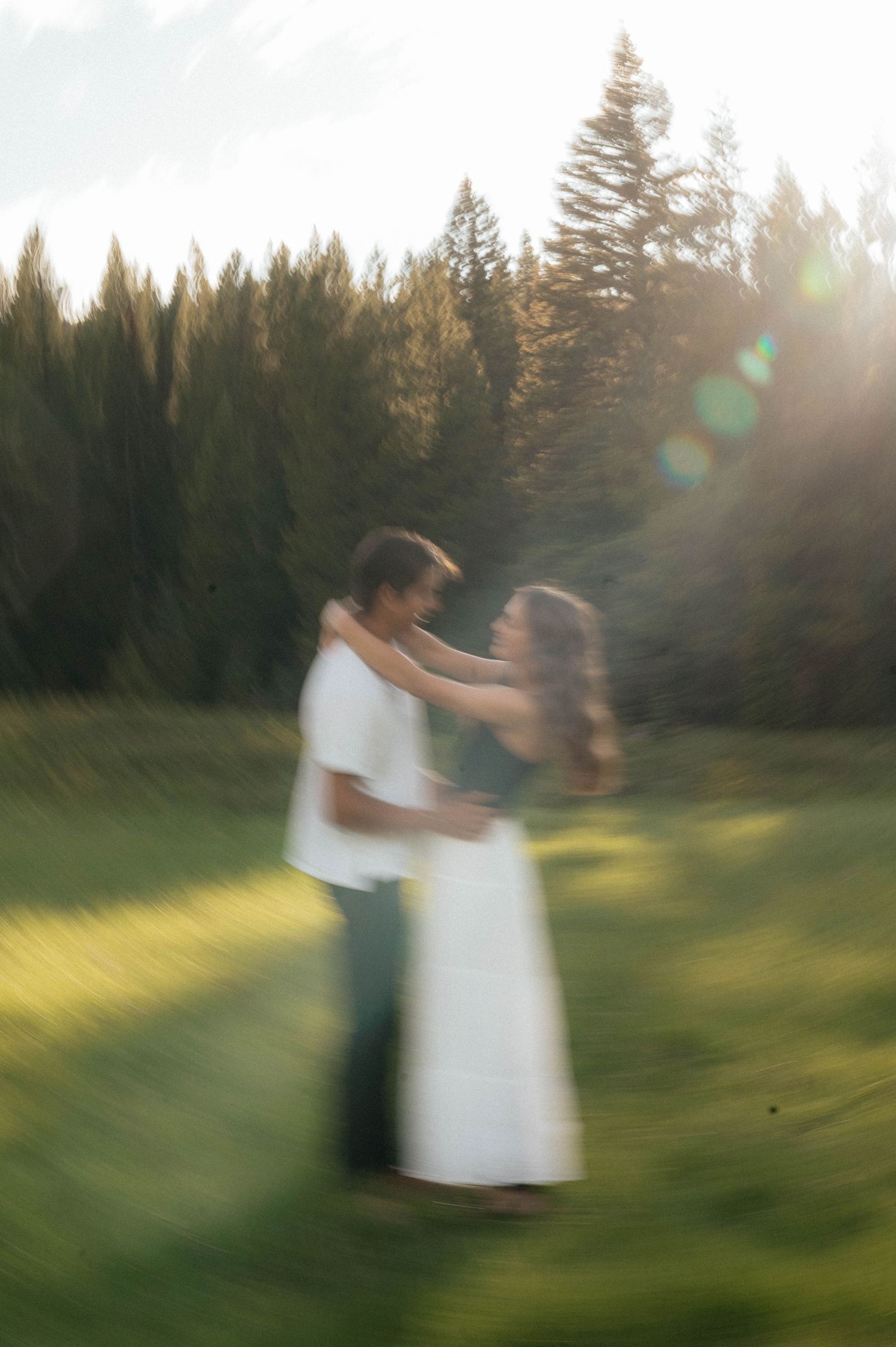 Couple embracing in a sunlit green meadow with pine trees and golden lens flare bokeh effect.