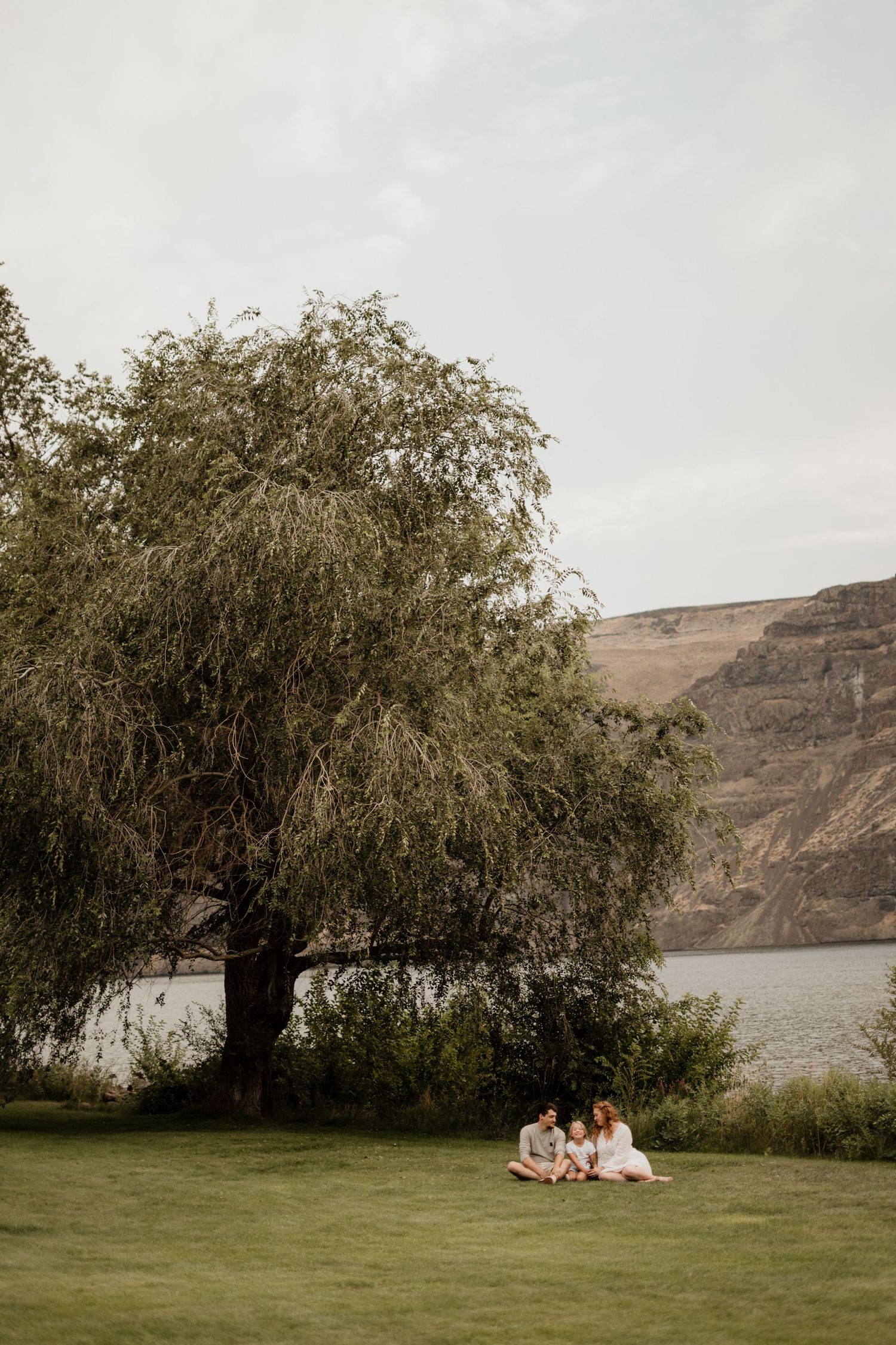 Two figures sit peacefully beneath a willow tree along a serene lake with rugged cliffs in the background.