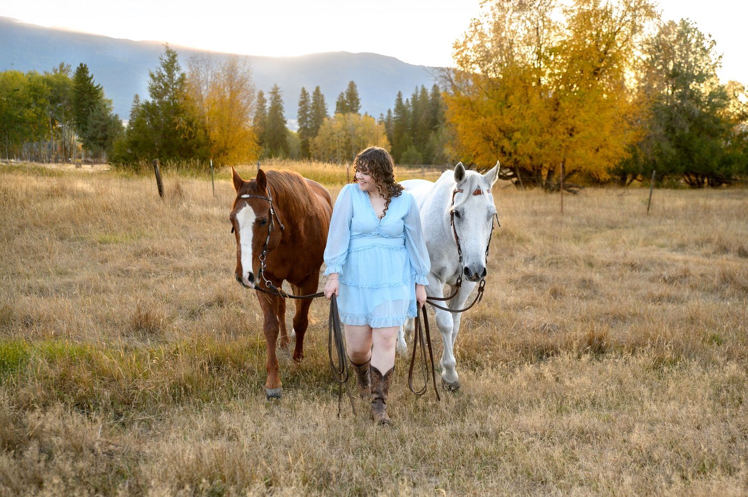 Two horses being led through an autumn field with golden grass and trees in the mountain landscape.