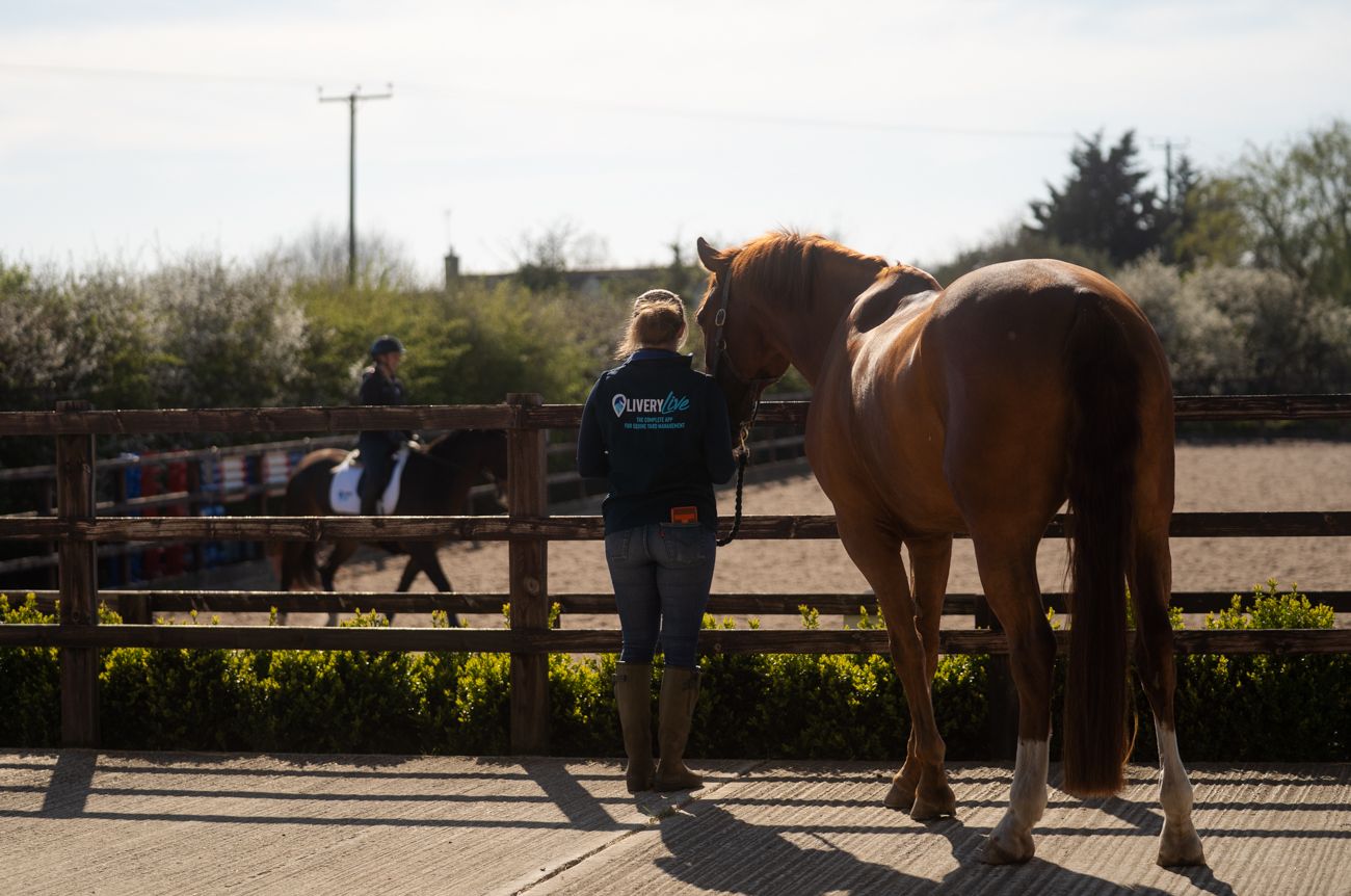 A person in a blue jacket stands beside a chestnut horse in a wooden paddock at an equestrian center.
