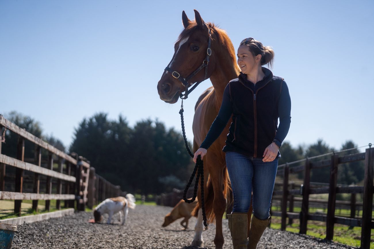 Woman leading a chestnut horse on a gravel path at a sunny equestrian farm with a dog in the background.