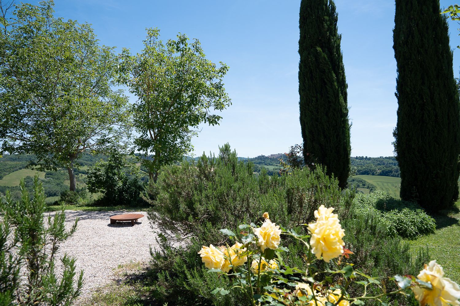 Garden landscape with cypress trees and yellow flowers against blue sky.
