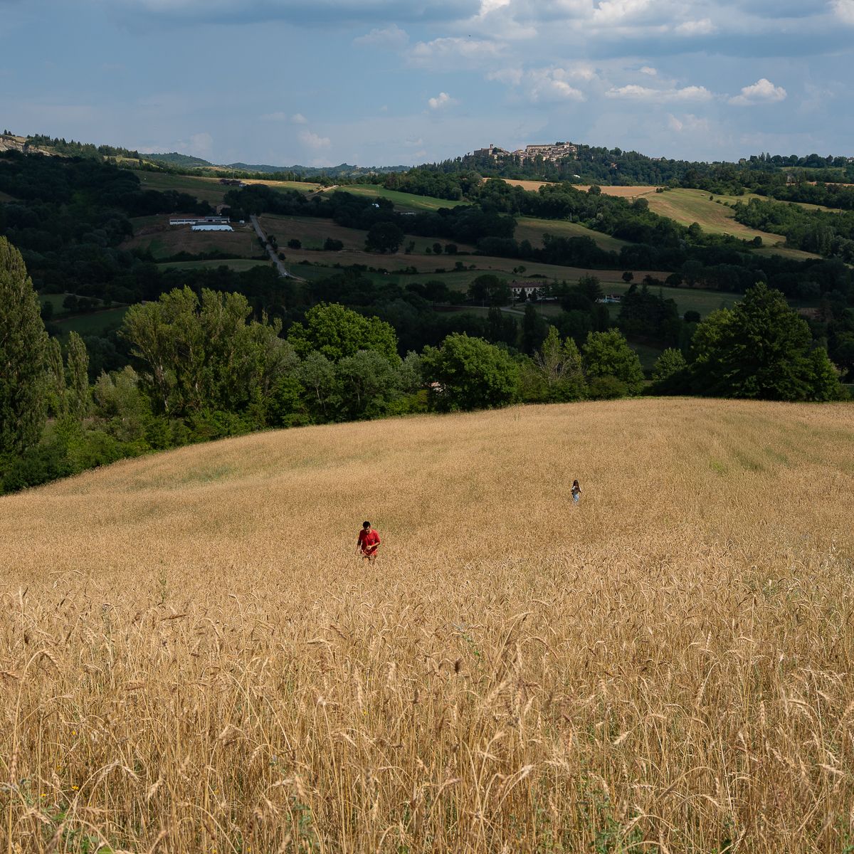 Two people walk through golden wheat fields with rolling green hills and a hilltop village in the Tuscan countryside.