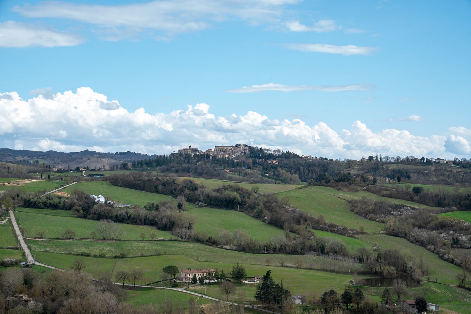 Scenic panoramic view of rolling green hills and farmland in the Tuscan countryside under a bright blue sky.