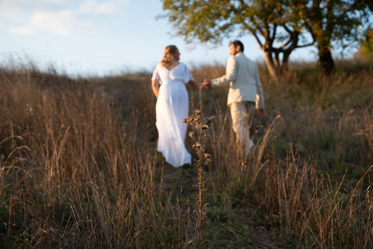 A couple in white attire holds hands in a golden field at sunset, surrounded by tall grass and trees.