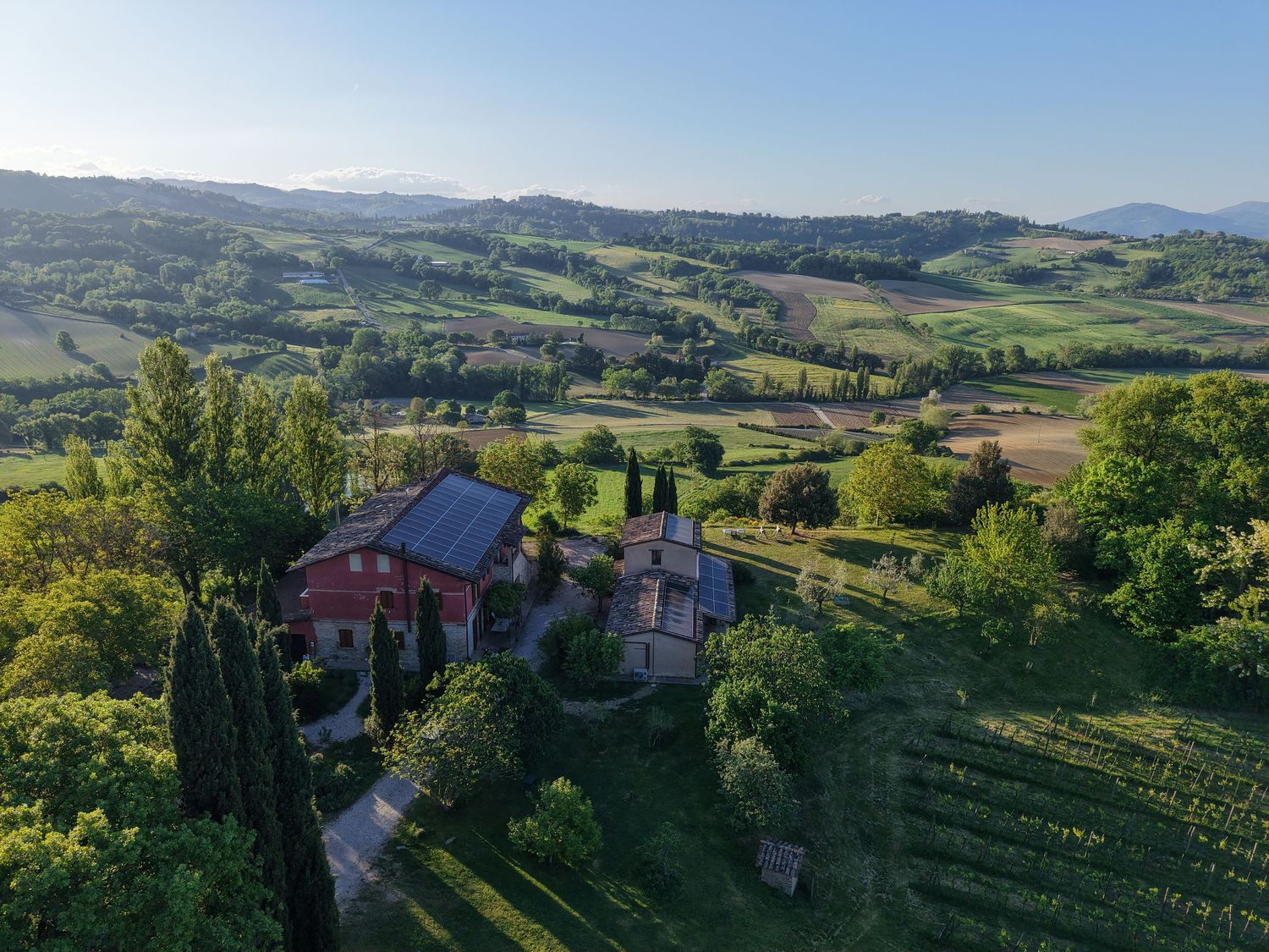 Aerial view of a rustic red farmhouse surrounded by lush vineyards and rolling green hills in the Italian countryside.