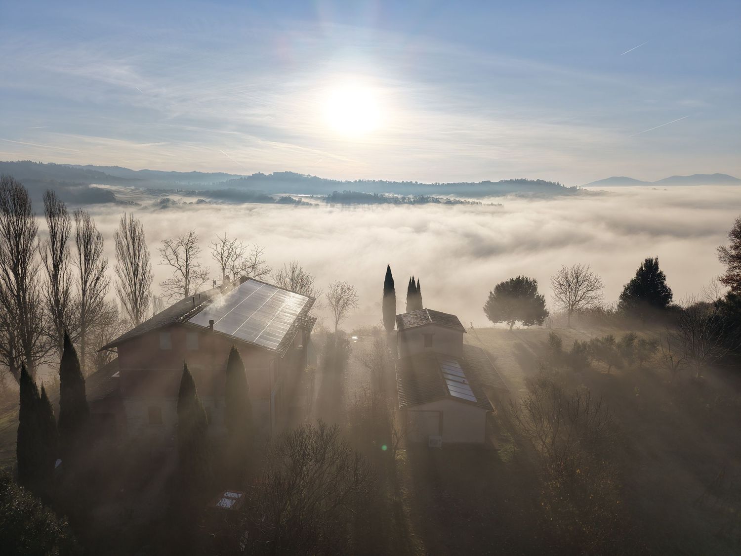 Sunbeams pierce through morning fog and silhouetted trees creating a mystical landscape at sunrise.