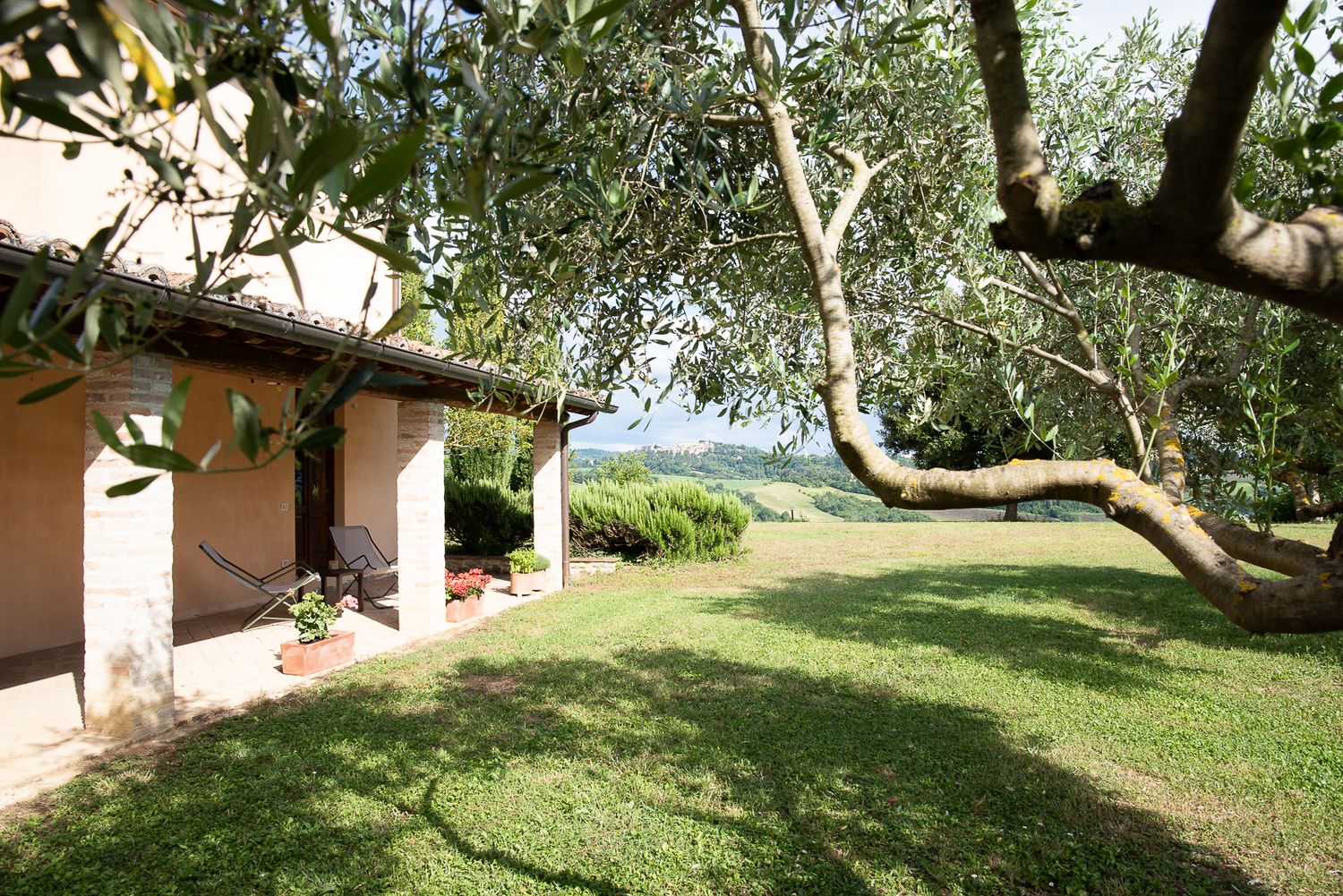 Scenic panorama of a grassy hillside with Mediterranean trees and architecture.