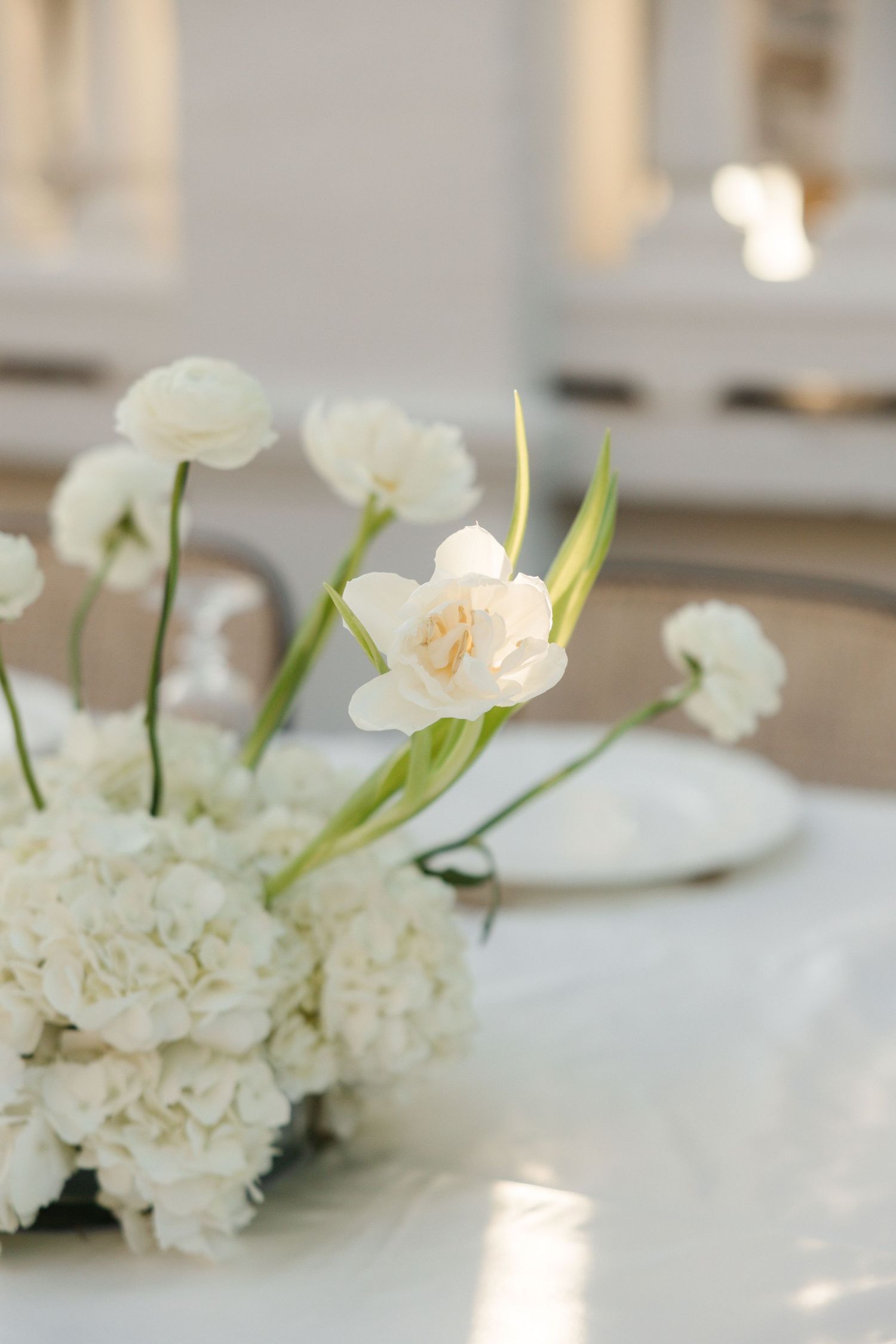 White carnations and flowers arranged elegantly on a light surface.