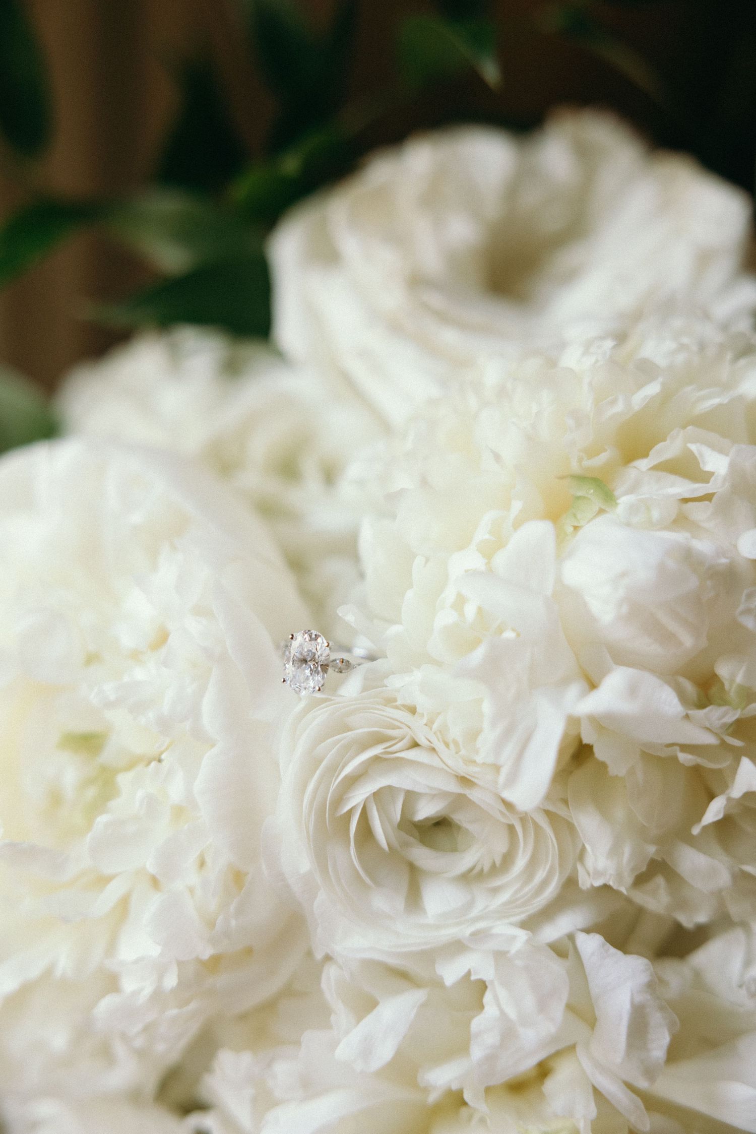 Close-up macro shot of white carnation petals with soft texture.