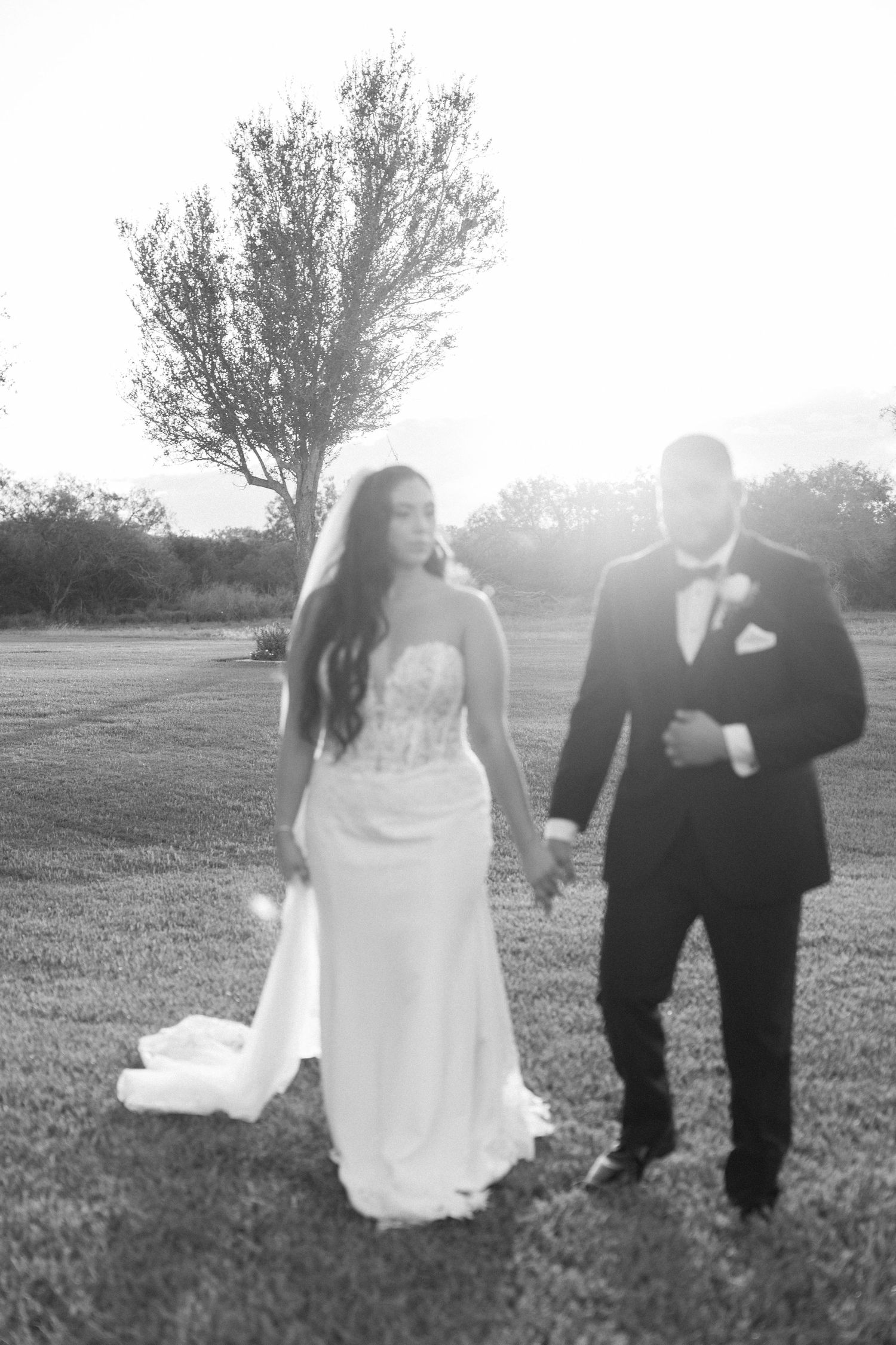 Wedding couple walks hand in hand across a sunlit field during golden hour.