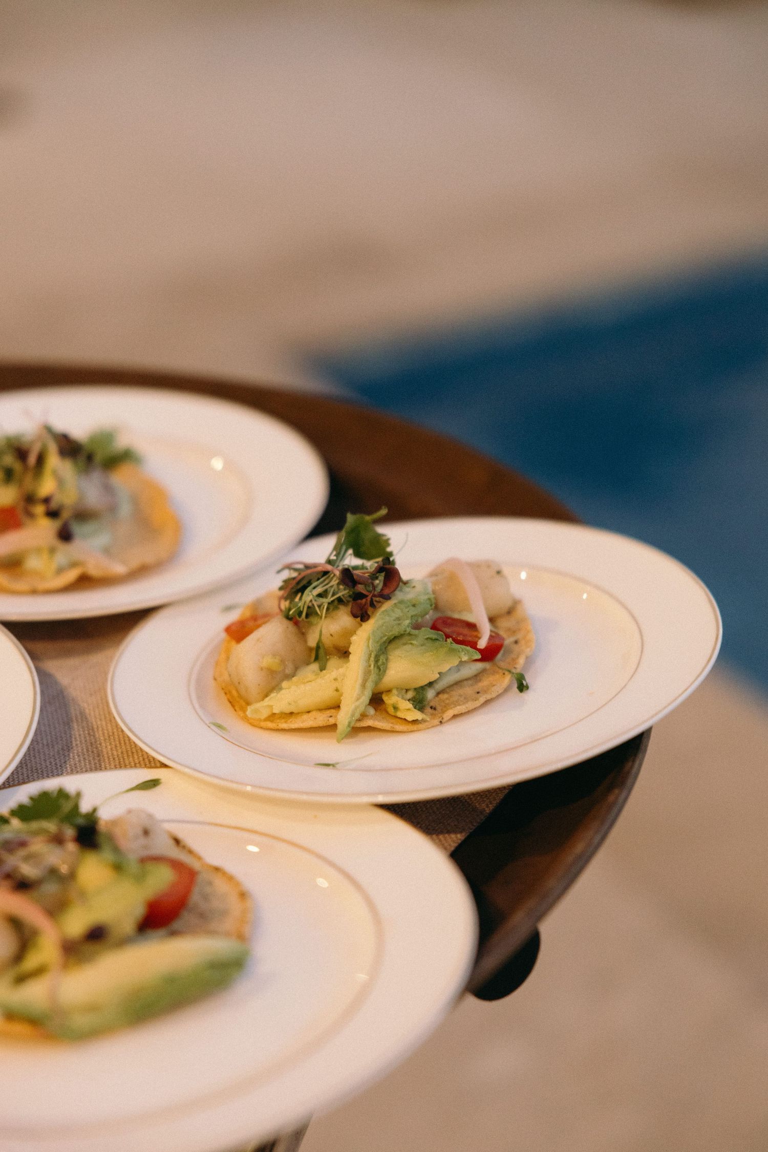 Elegant plated appetizers served on white china at a wedding reception.