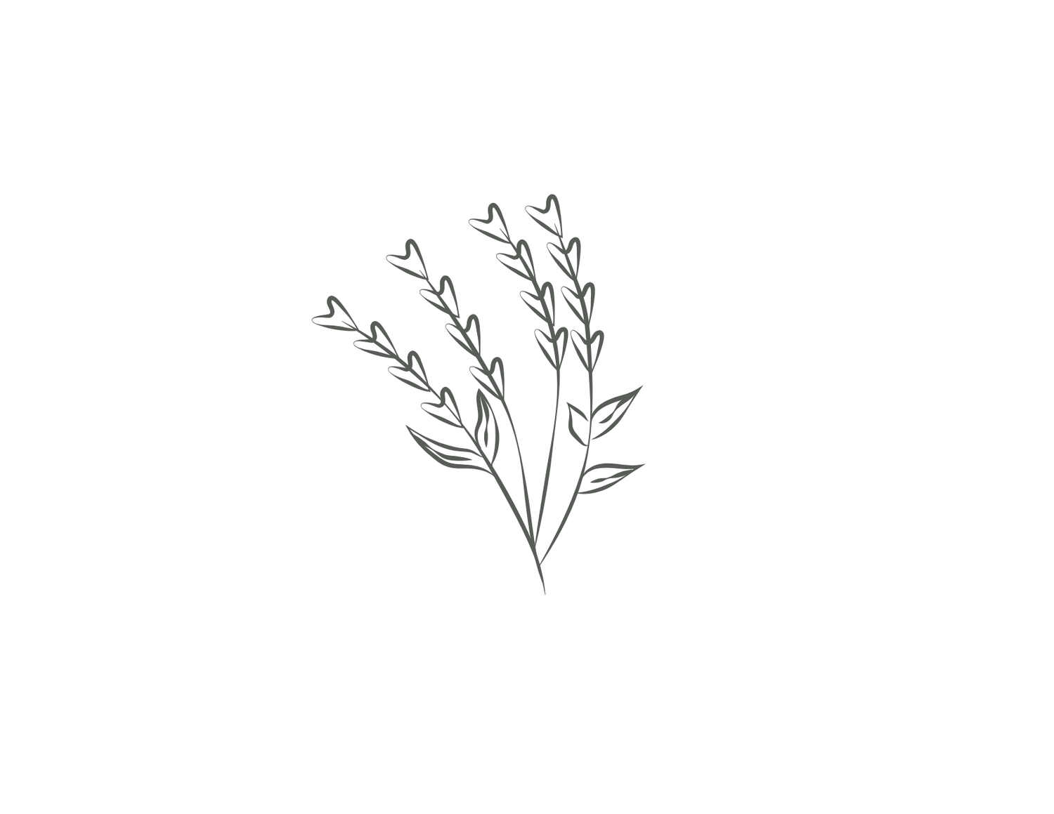 Delicate hand-drawn floral branch illustrations in black line art style.