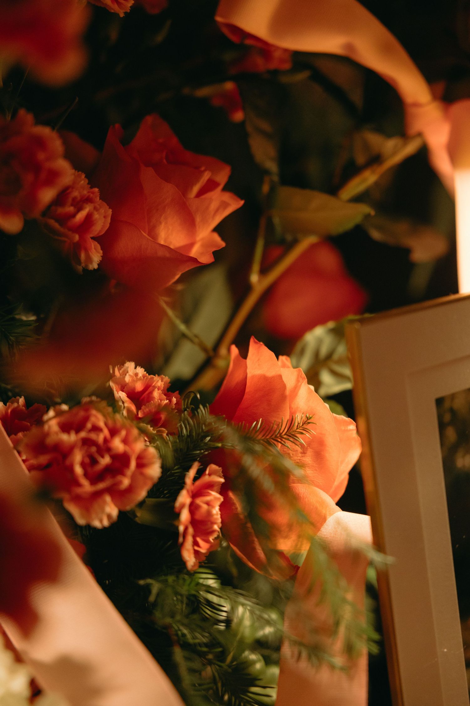 Close-up of coral-colored carnations and greenery in warm evening lighting.