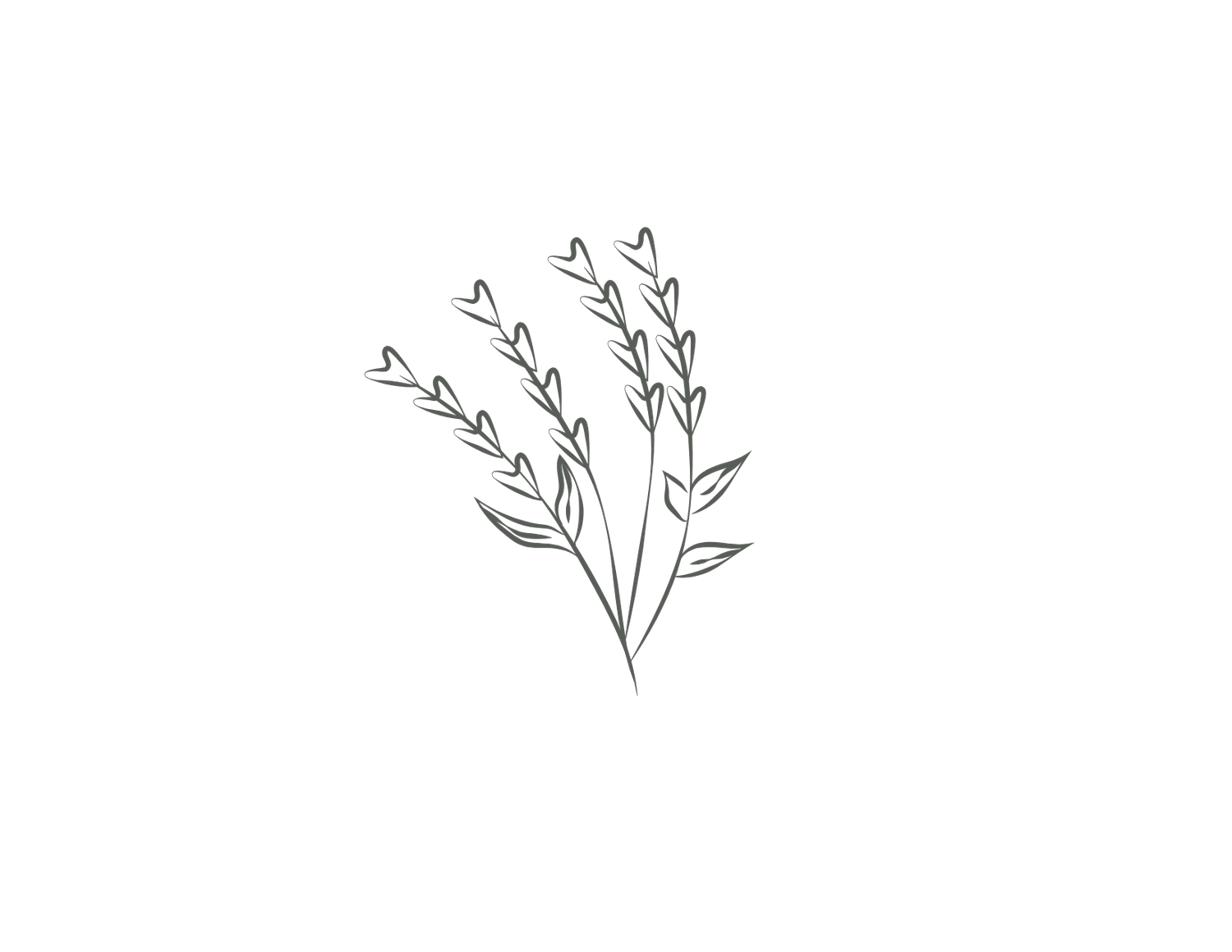Minimalist line drawing of delicate floral branches.