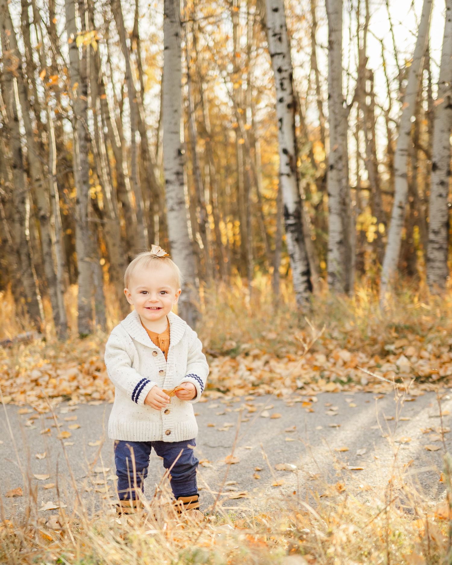 little boy standing on forest path autumn child portrait St Albert photographer