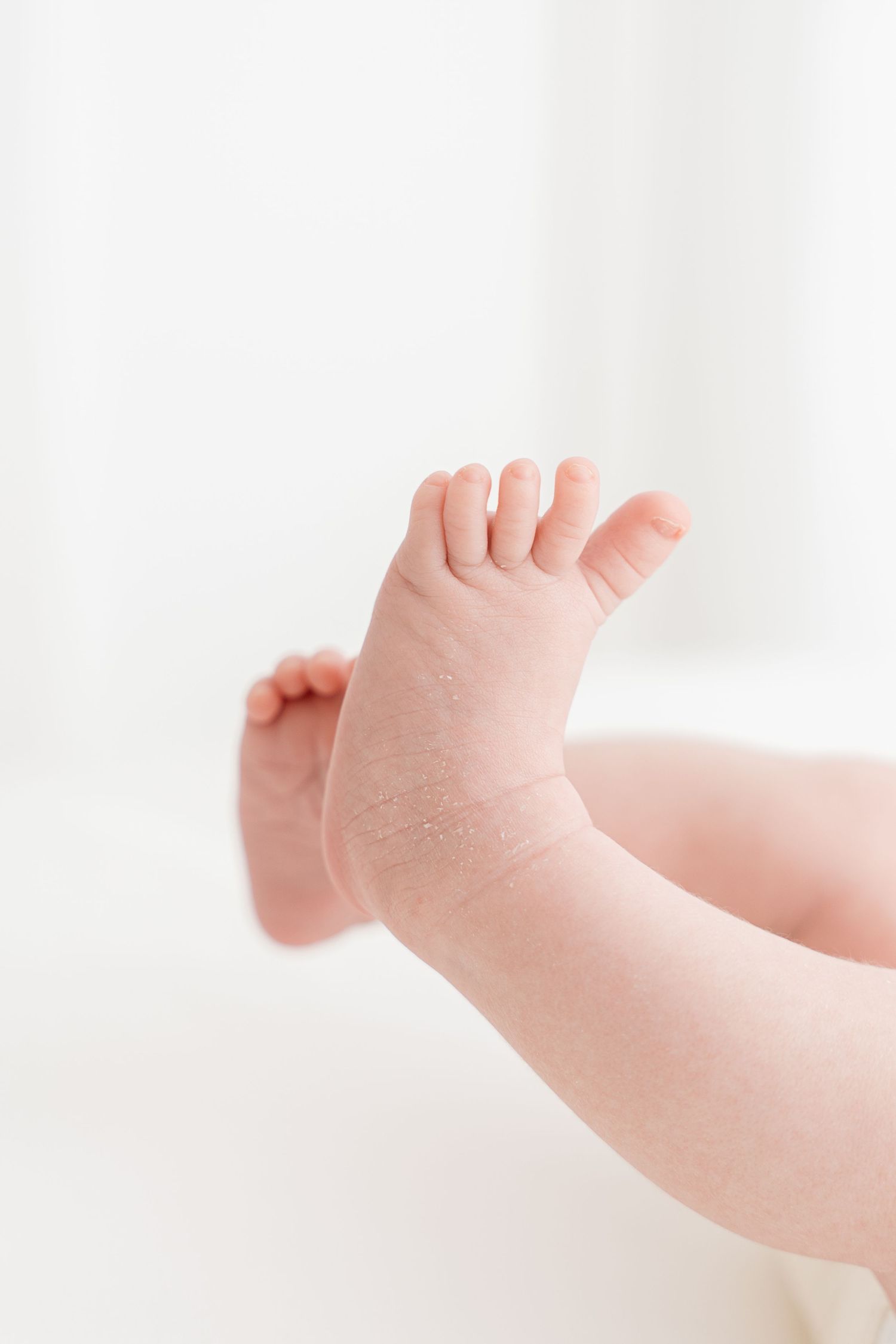 newborn photography session in Clarksville TN studio with soft natural light