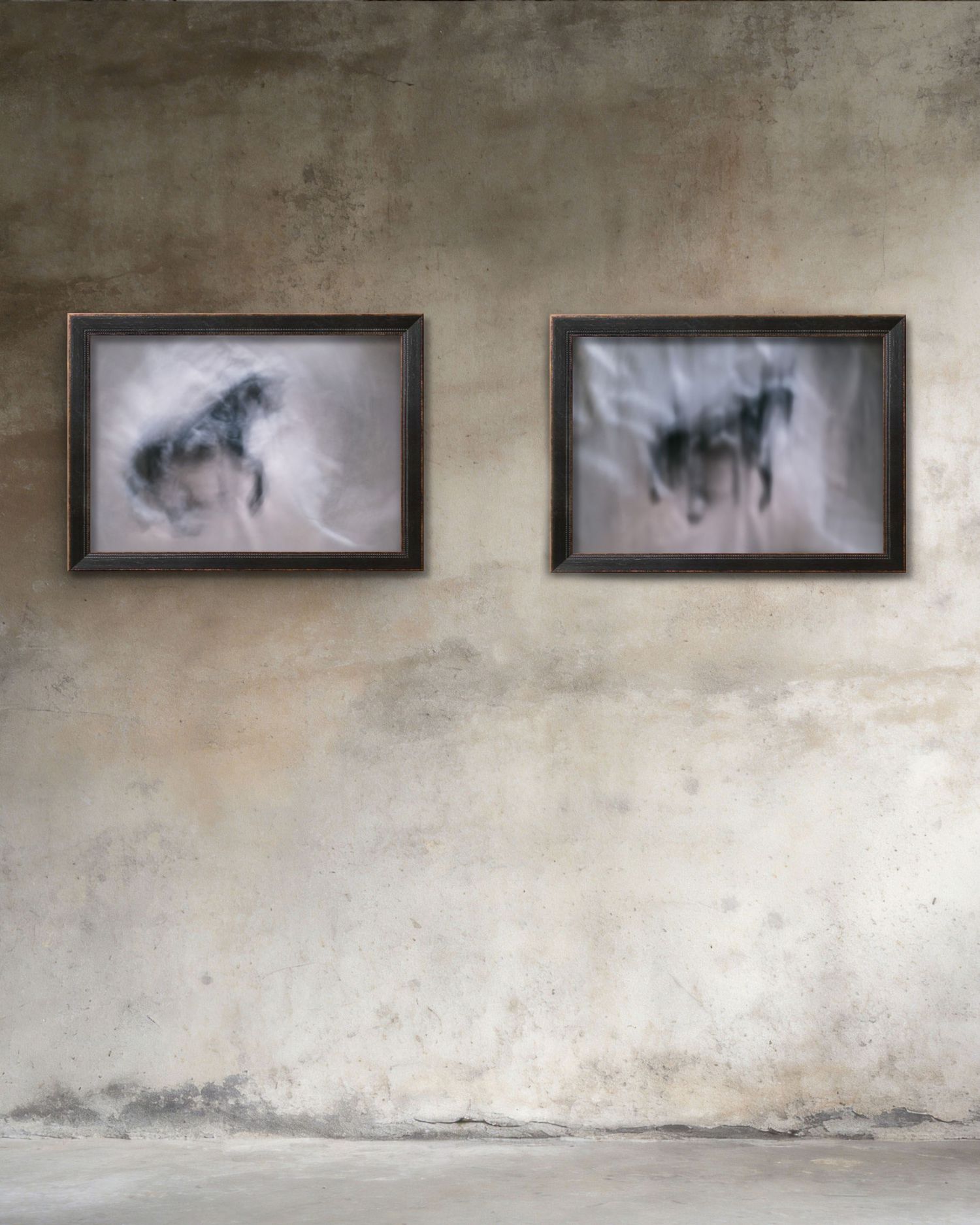 Two framed wolf artwork prints with motion blur effect hang on a weathered concrete wall.