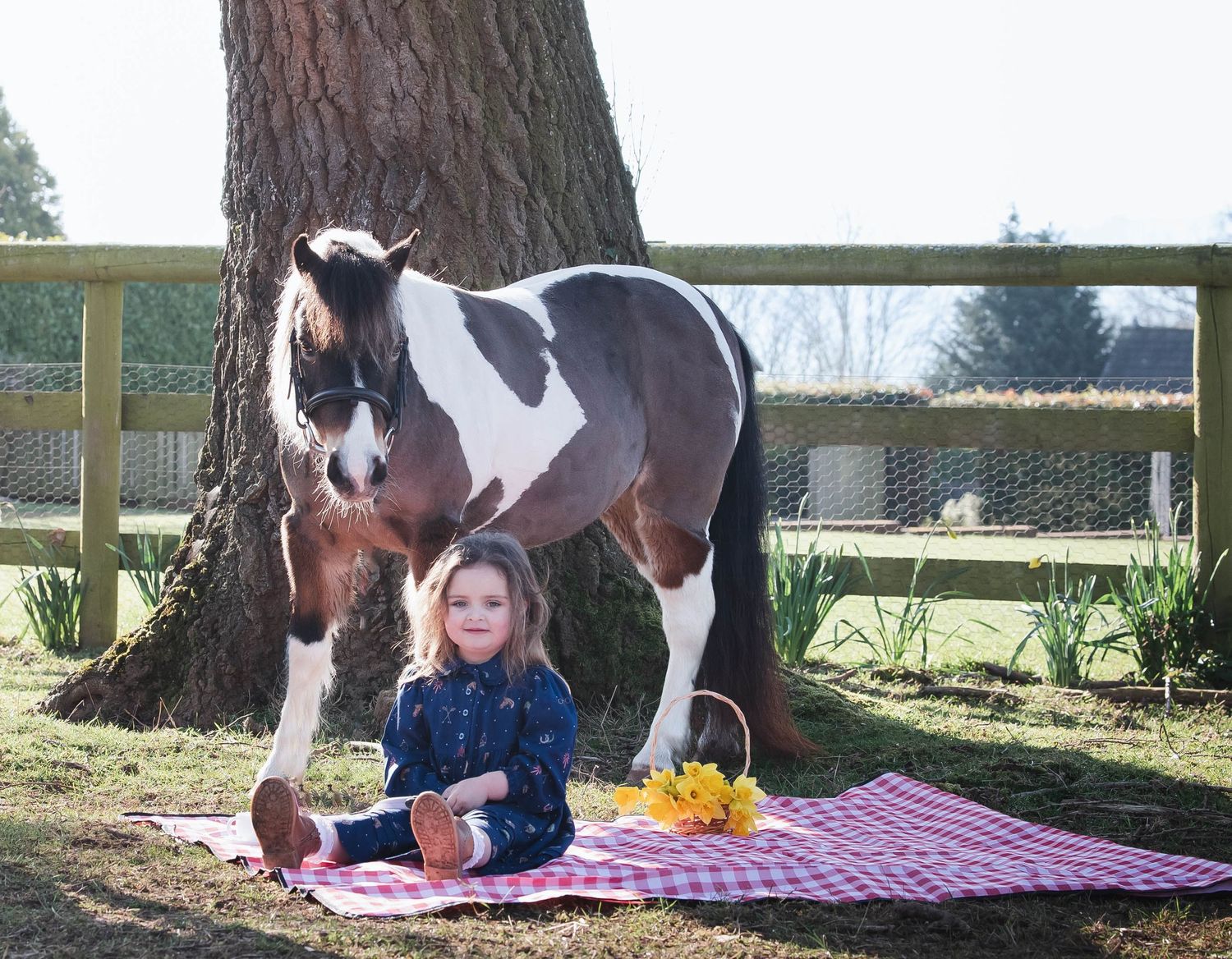 Pony picnic. Sienna and Bal. Herefordshire photography. Equine Photography. Children and ponies. Children's photographer, RJ Equine Photo