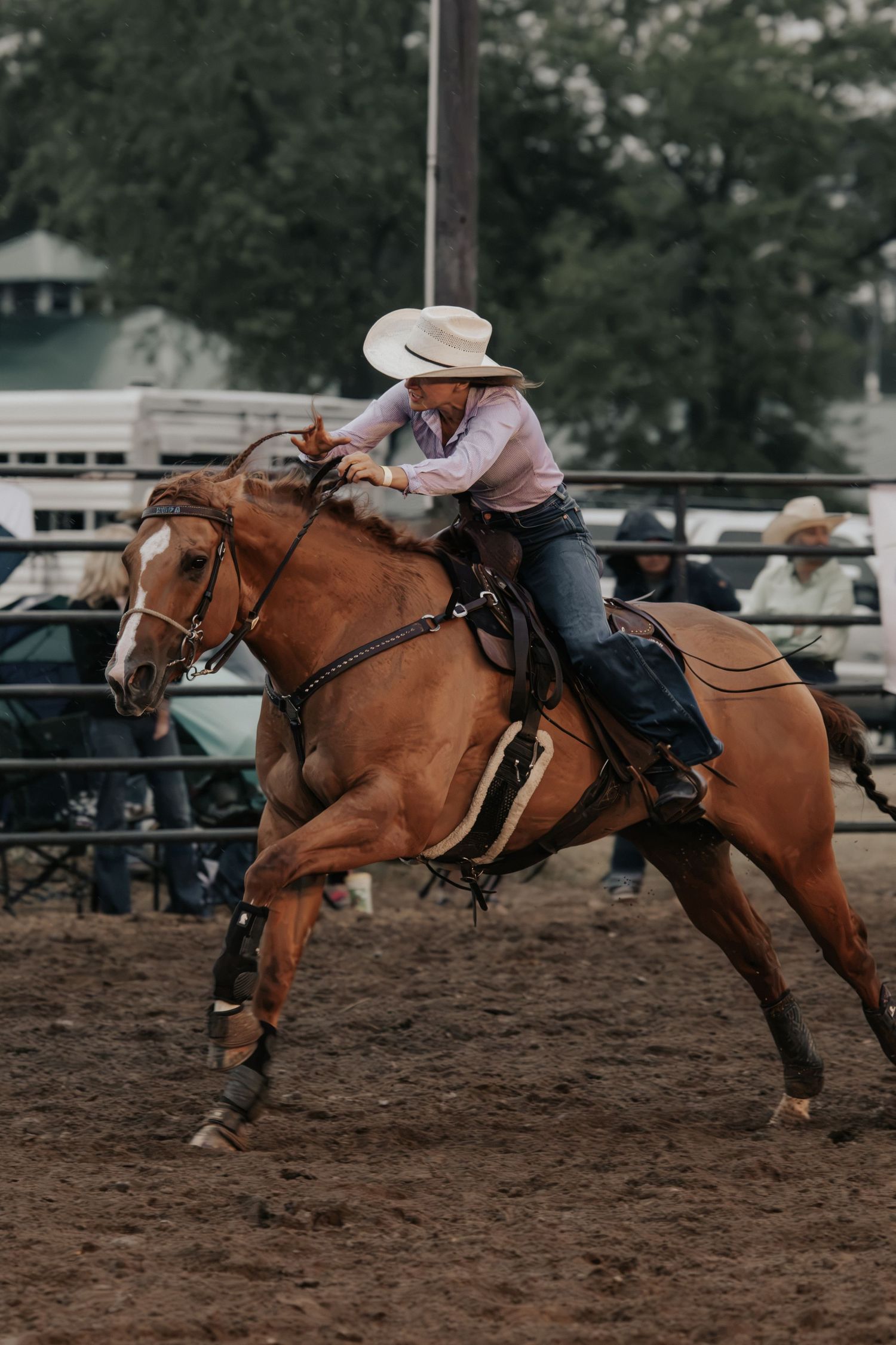 A cowgirl in a white hat rides a chestnut horse at full speed during a barrel racing event at a rodeo.
