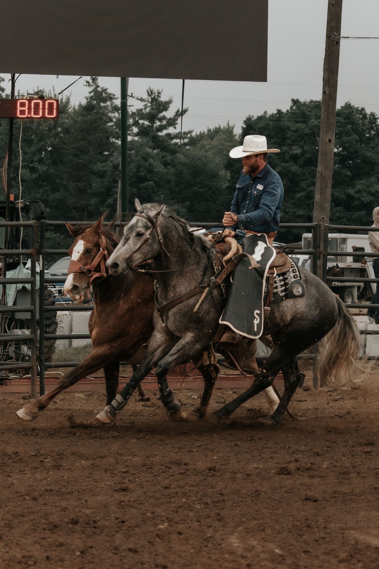 Cowboy in white hat rides gray horse at rodeo arena, controlling brown horse alongside, with scoreboard showing 8:00.