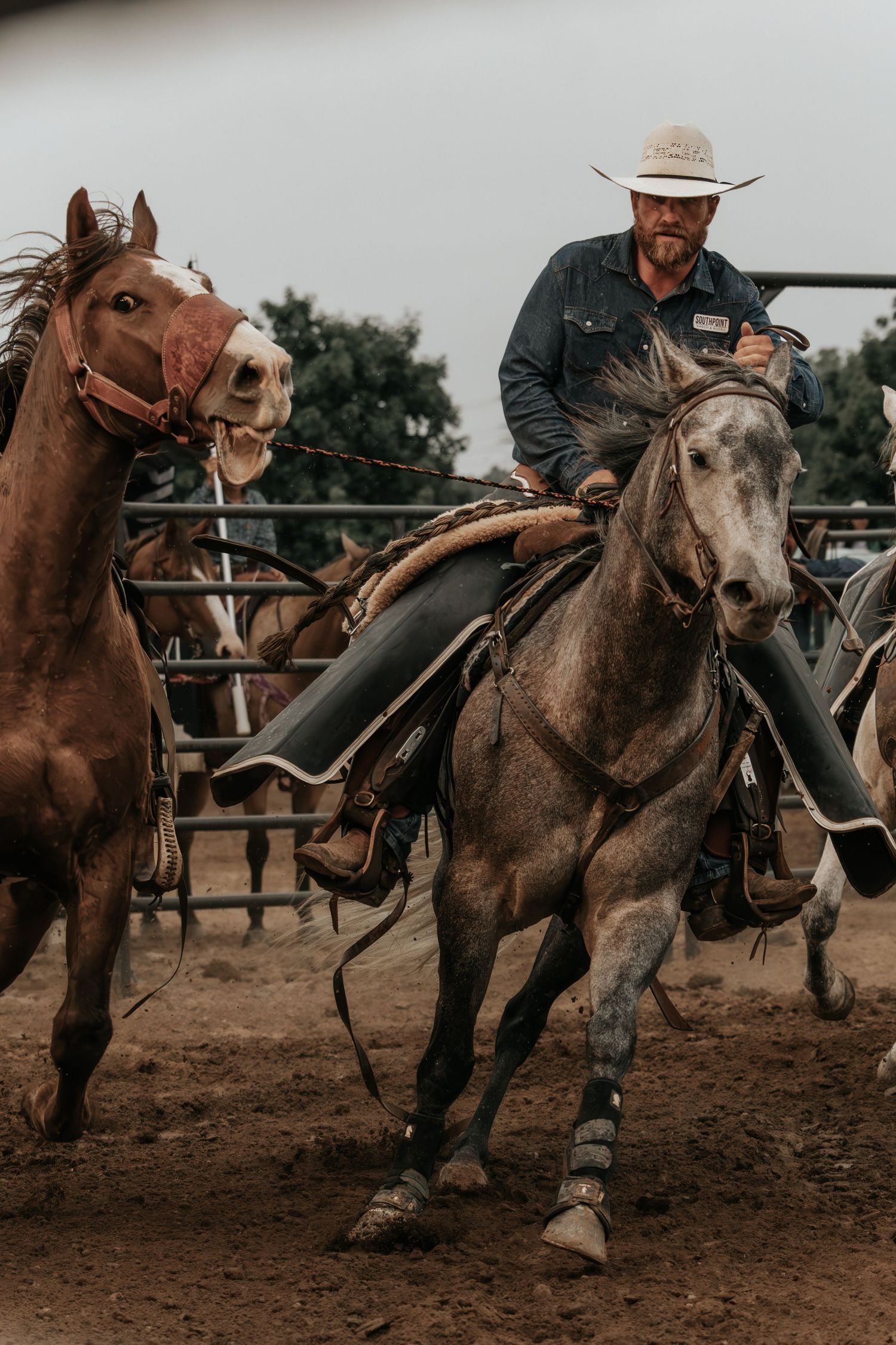 Cowboy in white hat rides gray horse at dusty rodeo arena, leading brown horse with reins.