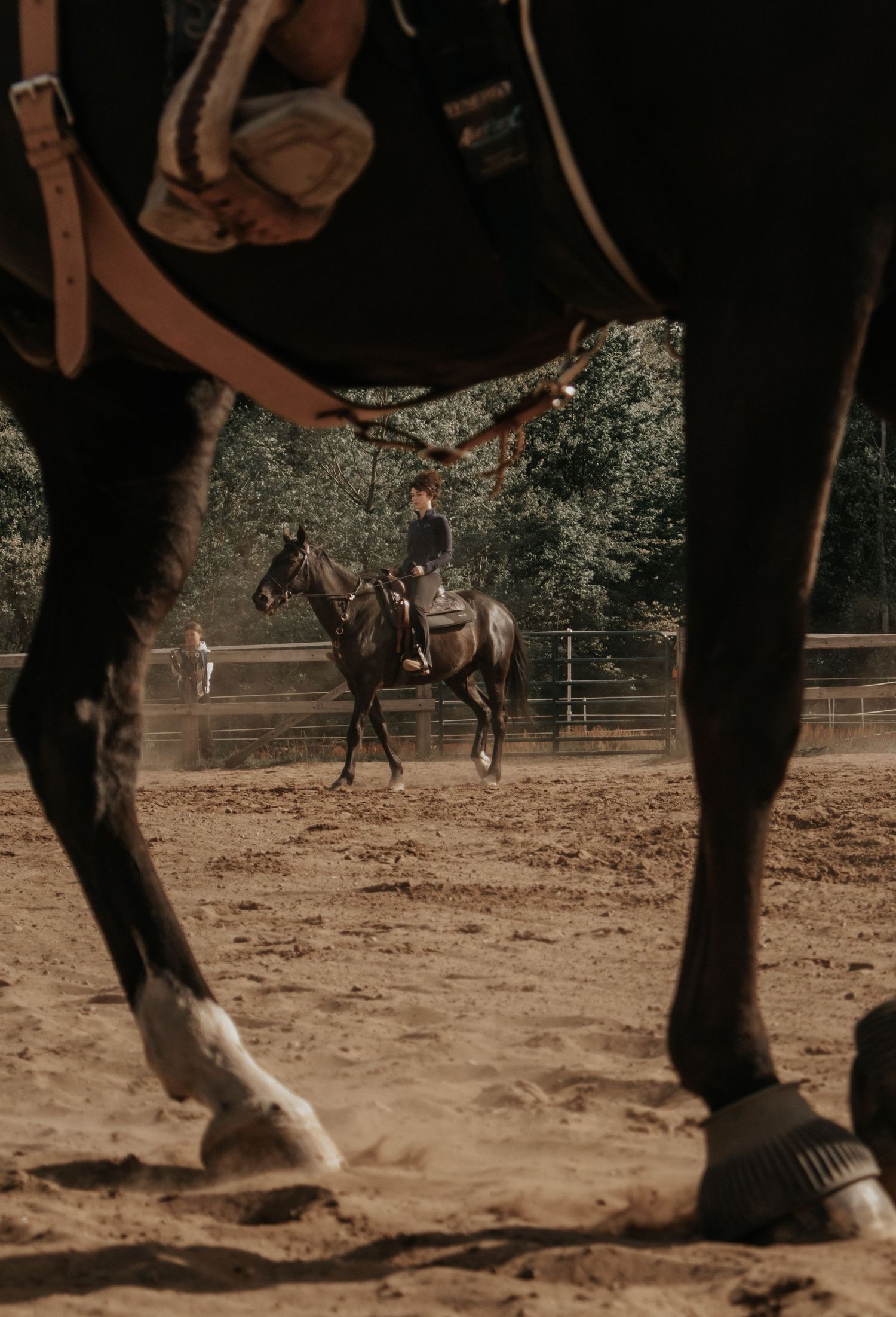 Rider on dark horse in sandy arena, framed between legs of foreground horse in warm sunlight.