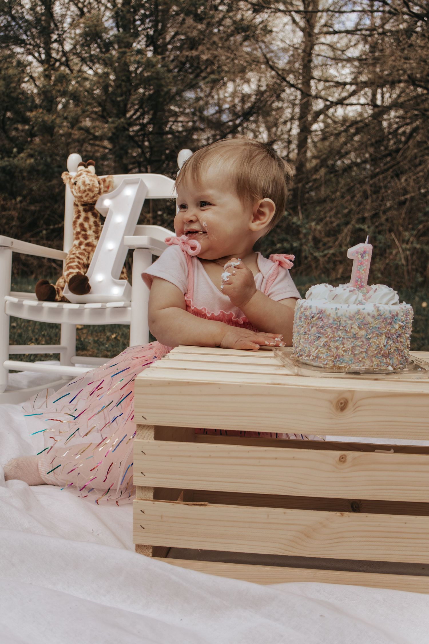 Baby girl celebrates first birthday outdoors with cake, giraffe toy, and number 1 decorations on a wooden crate.