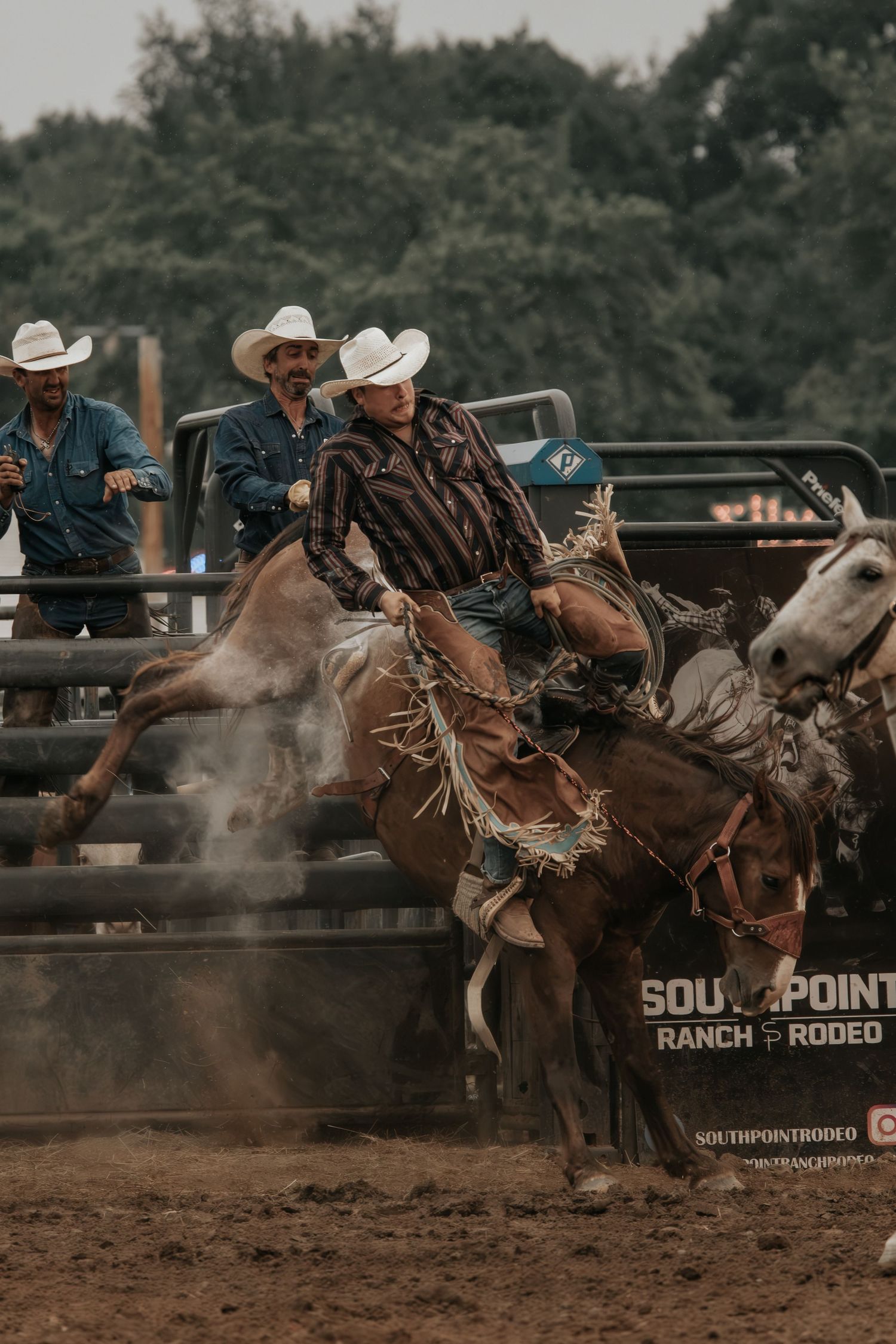 Cowboy rides a bucking bronco at South Point Ranch Rodeo while spectators watch from behind metal gates.
