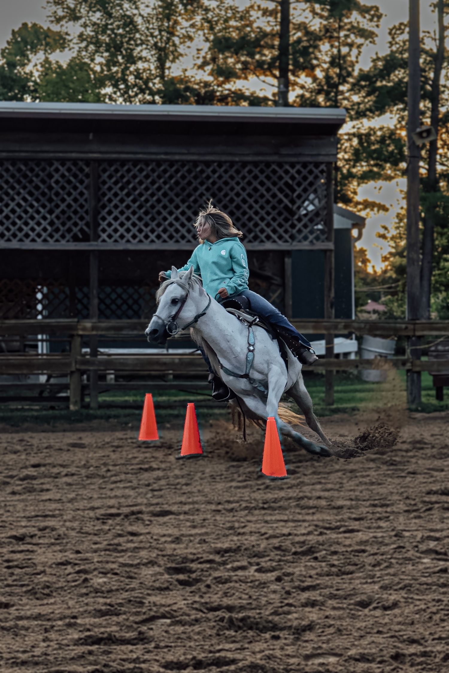 A sequence showing a horse throwing its rider off in a training ring marked by orange safety cones.
