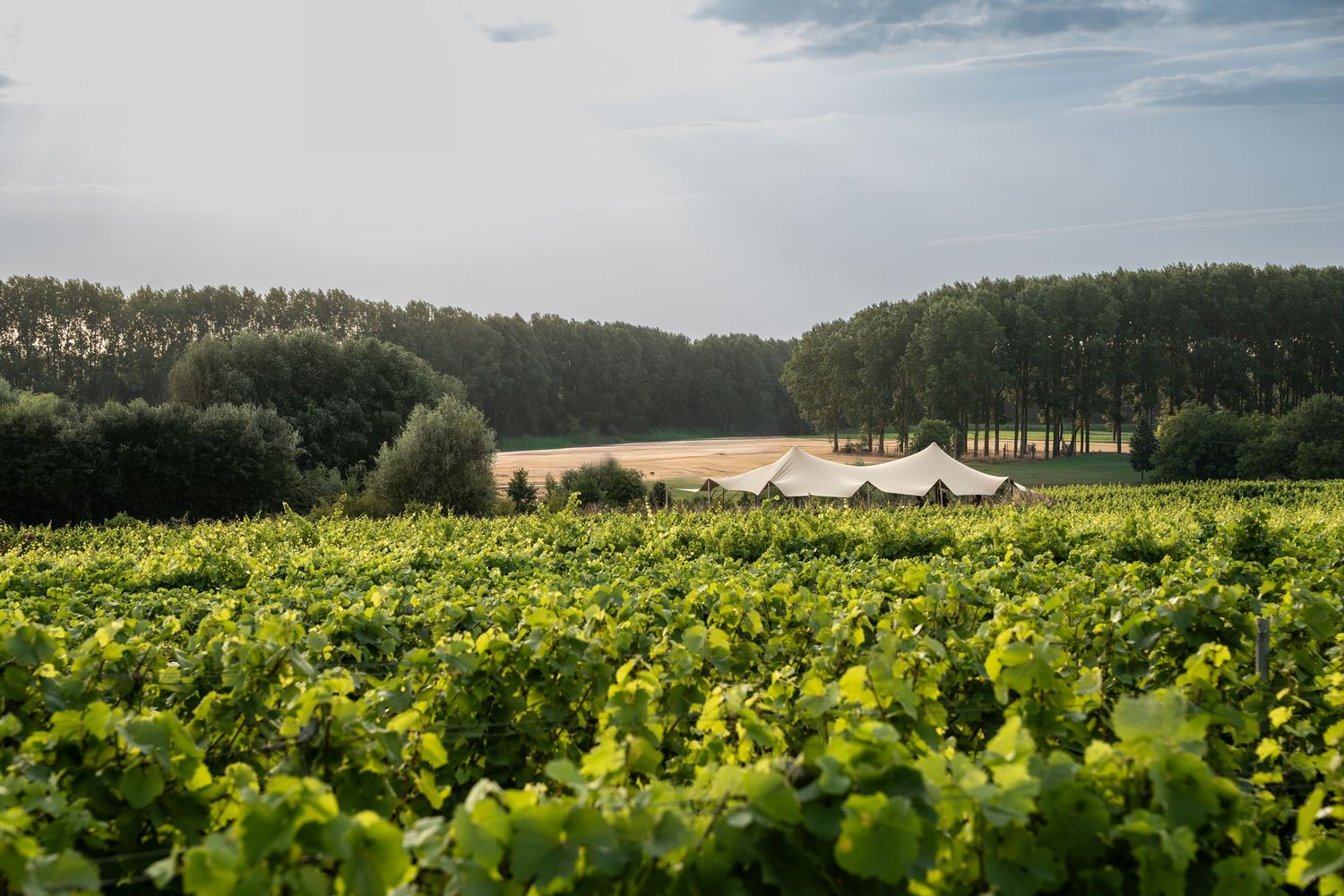 Domein Marsnil