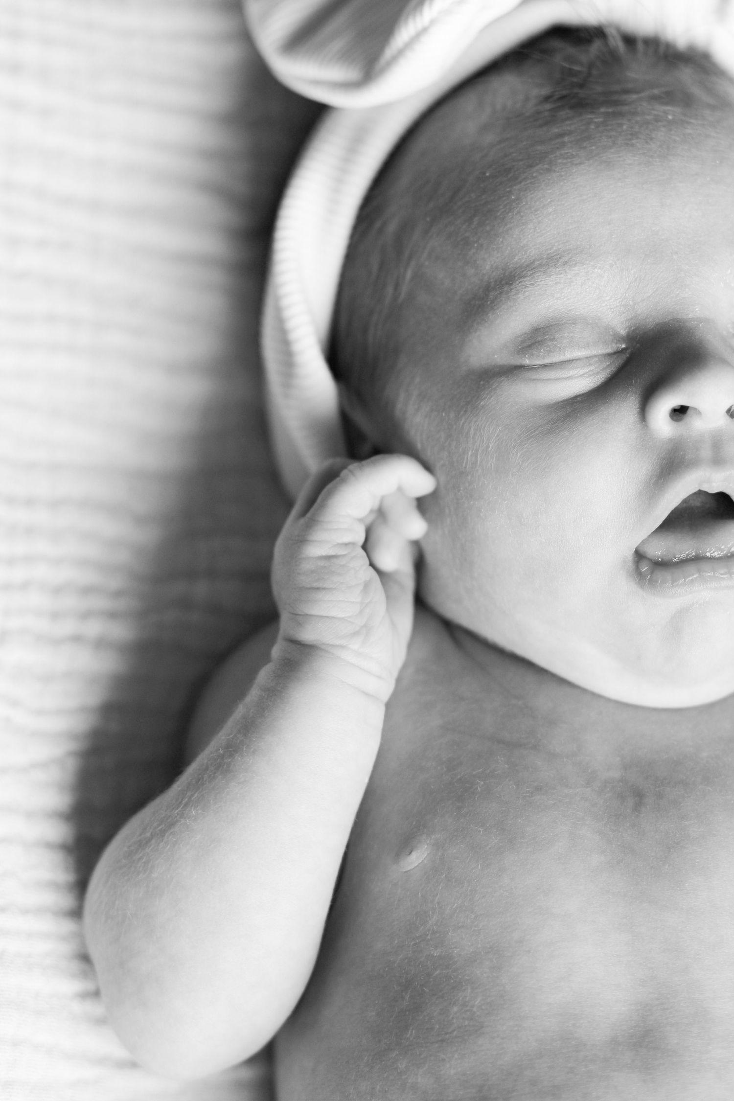 L- newborn