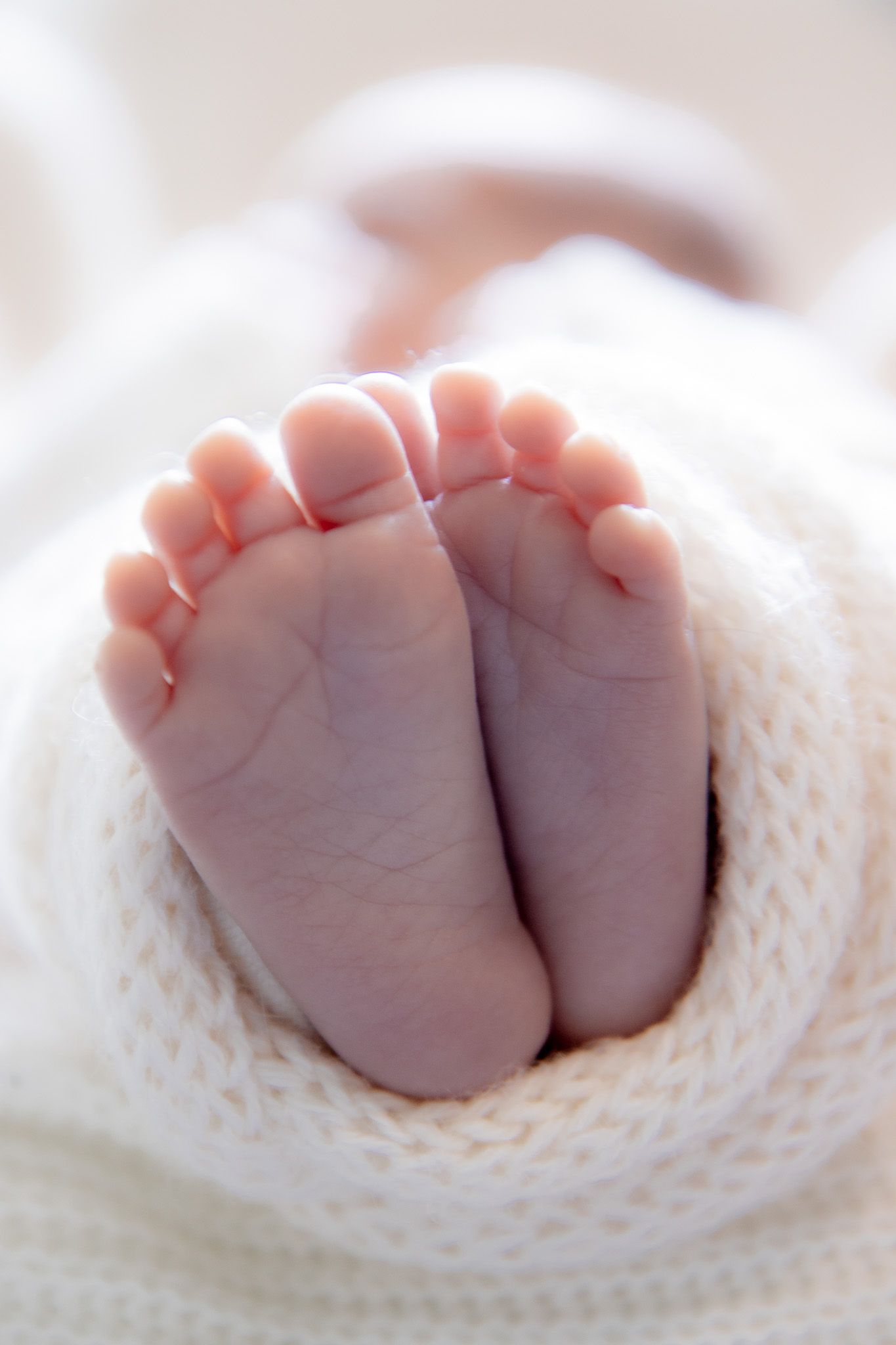 Close-up of tiny newborn baby feet wrapped in a soft white knit blanket.