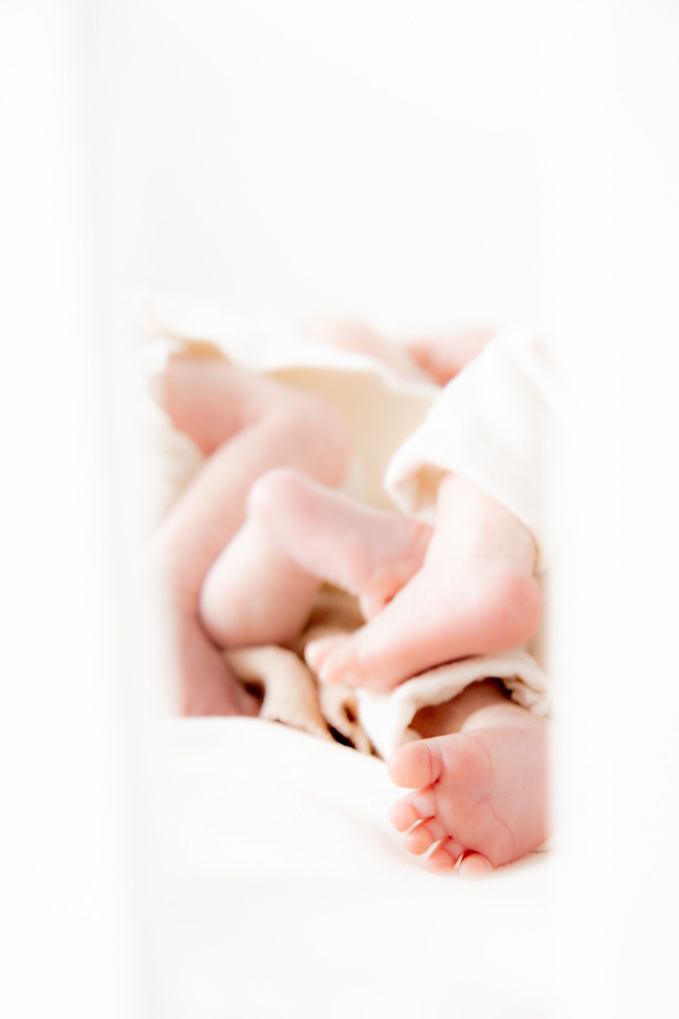 Close-up of tiny newborn baby feet and legs wrapped in soft white blanket.