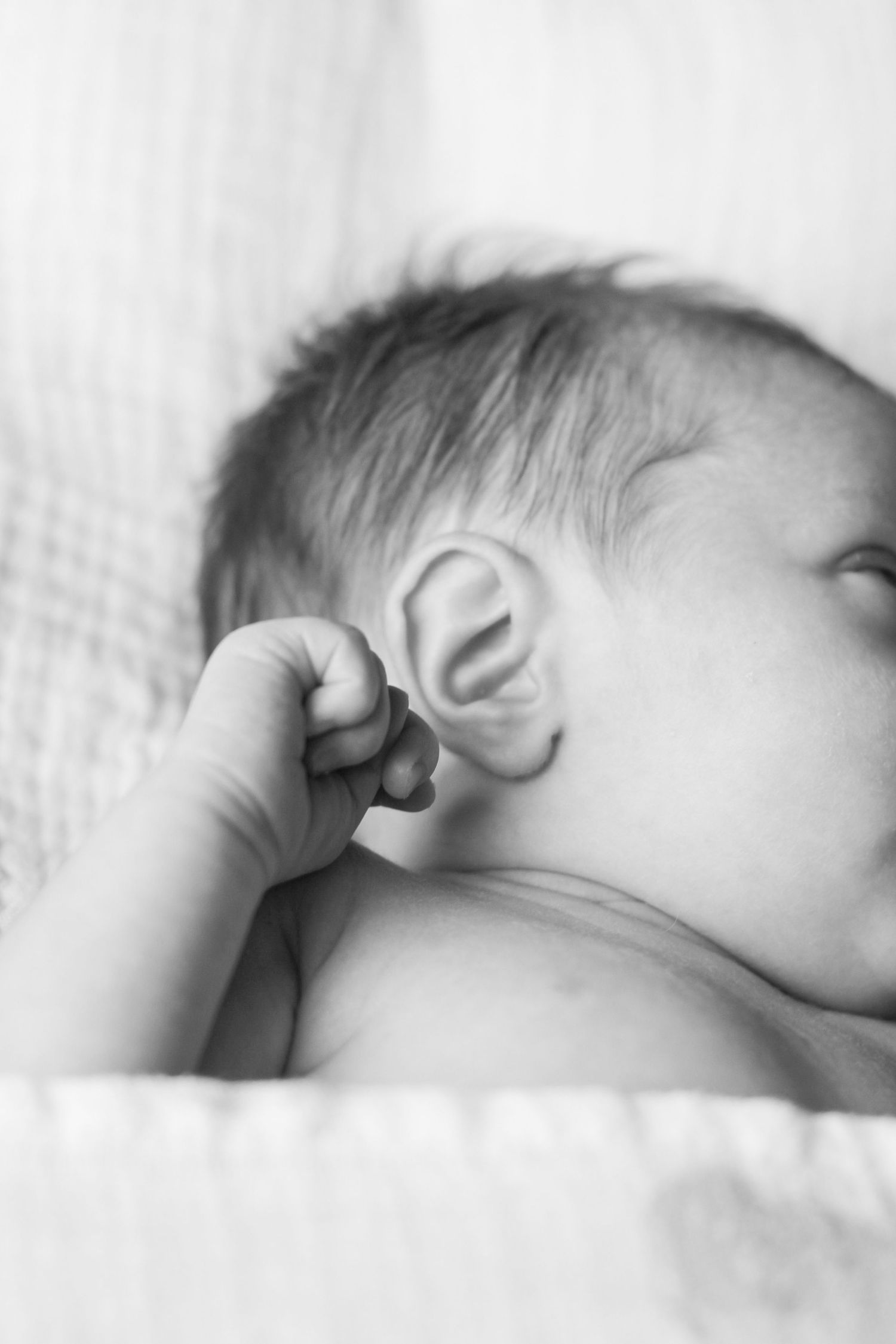 newborn