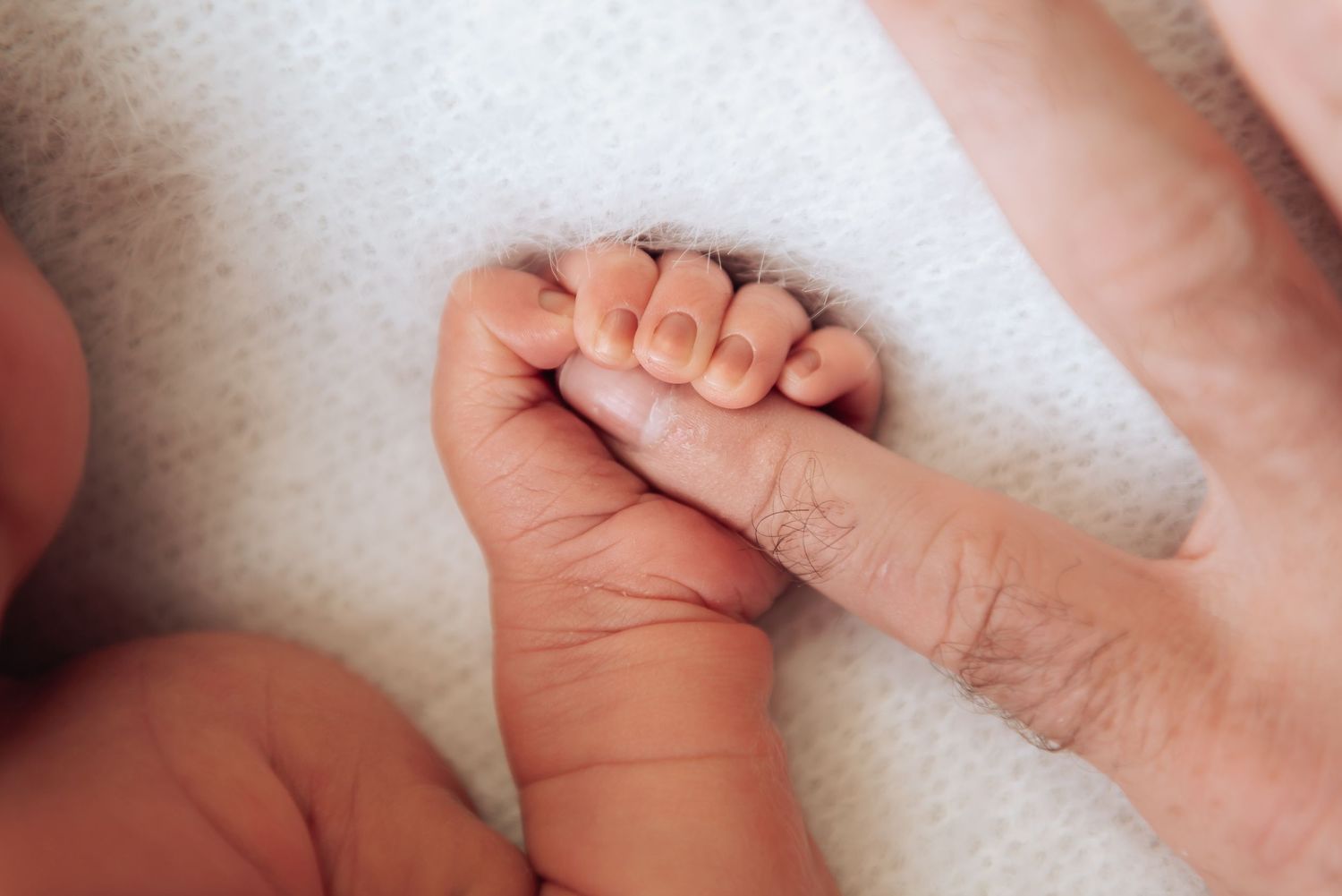 Perth newborn photography studio session