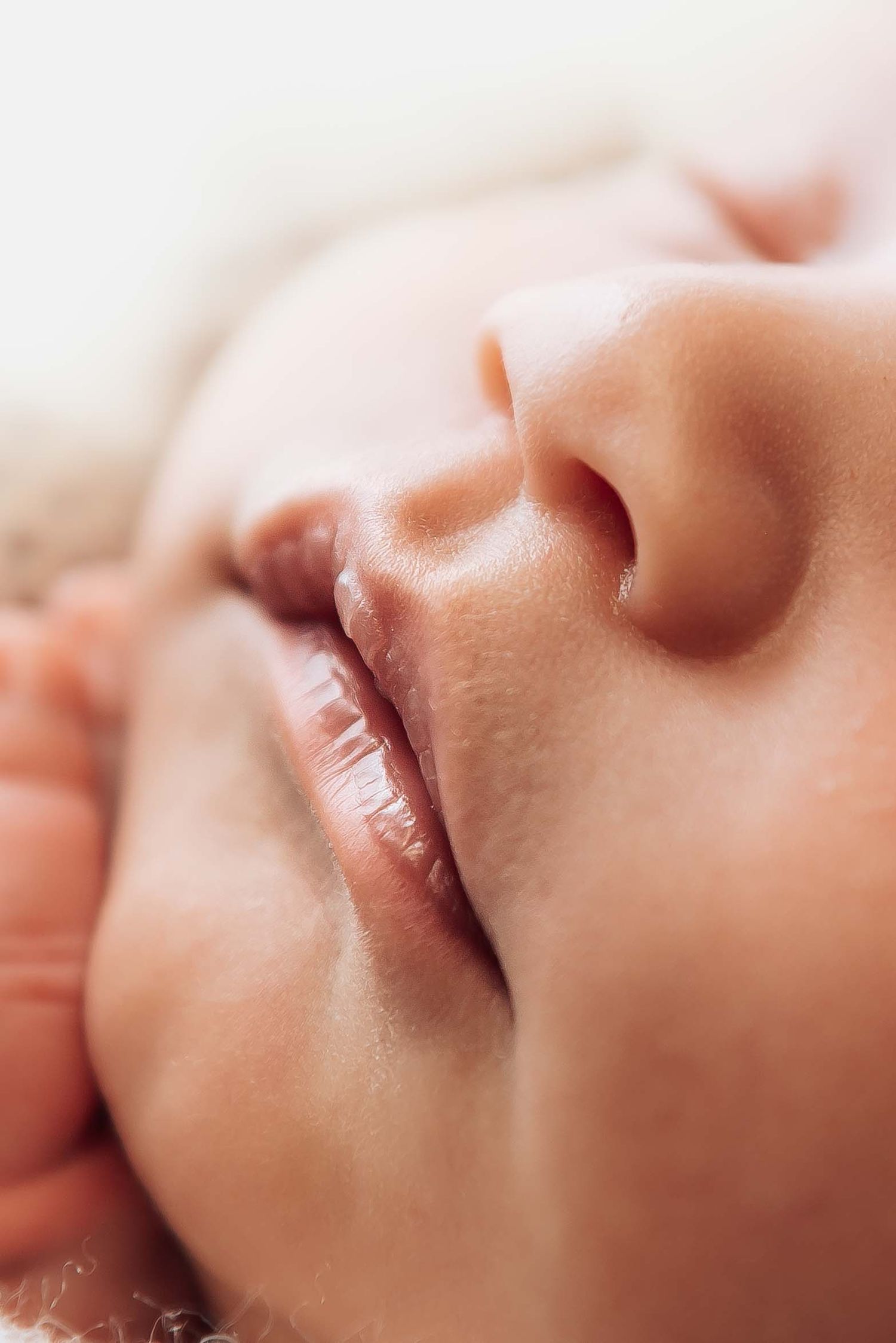 Perth newborn and baby photography studio session