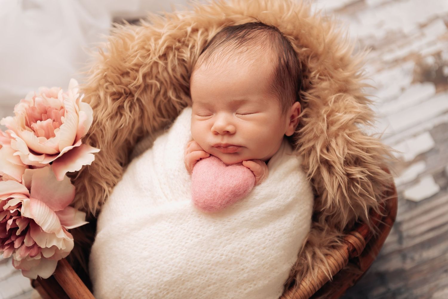 Perth Newborn Photographer