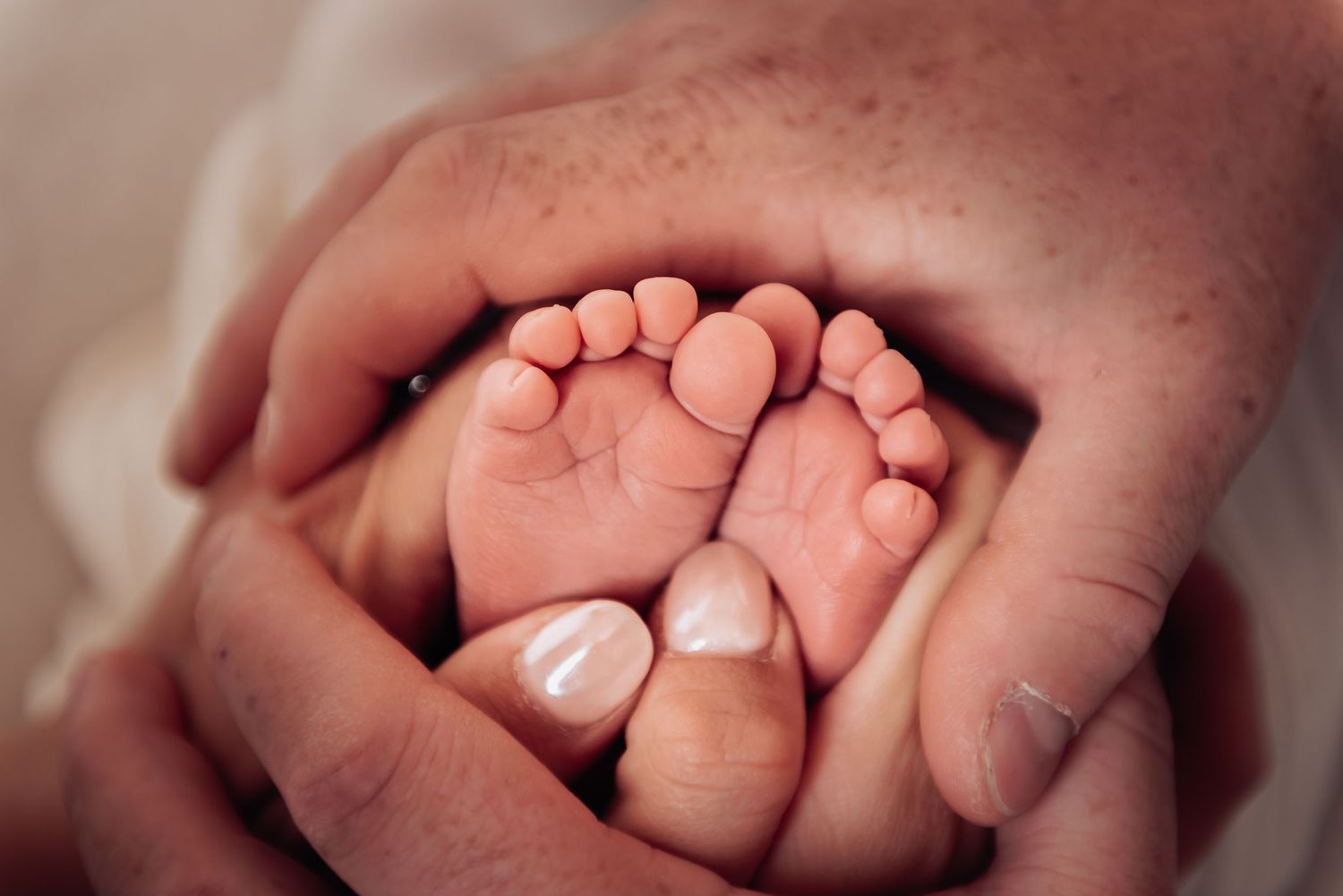 Perth Newborn Photographer