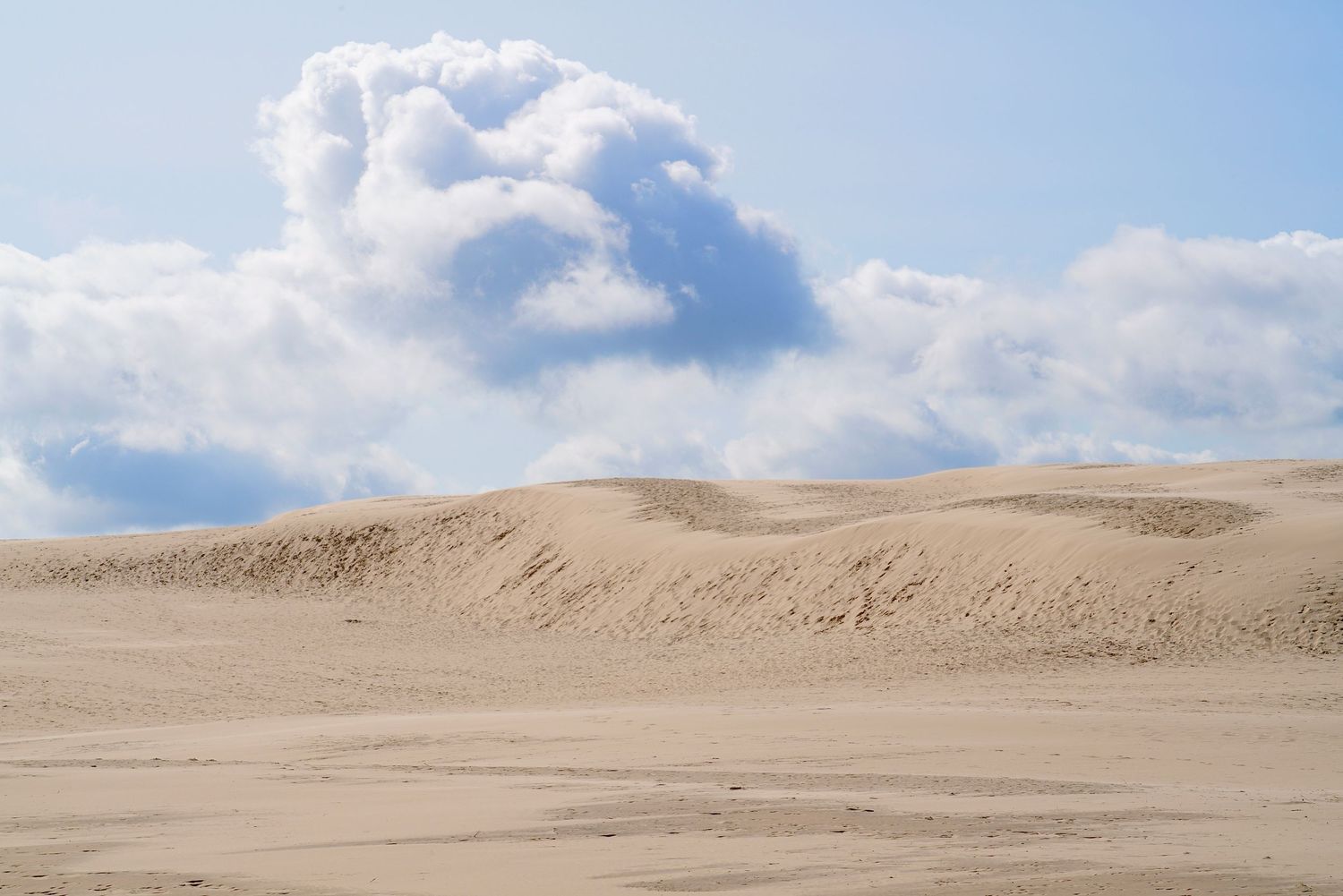 Sanddünen Skagen Råbjerg Mile