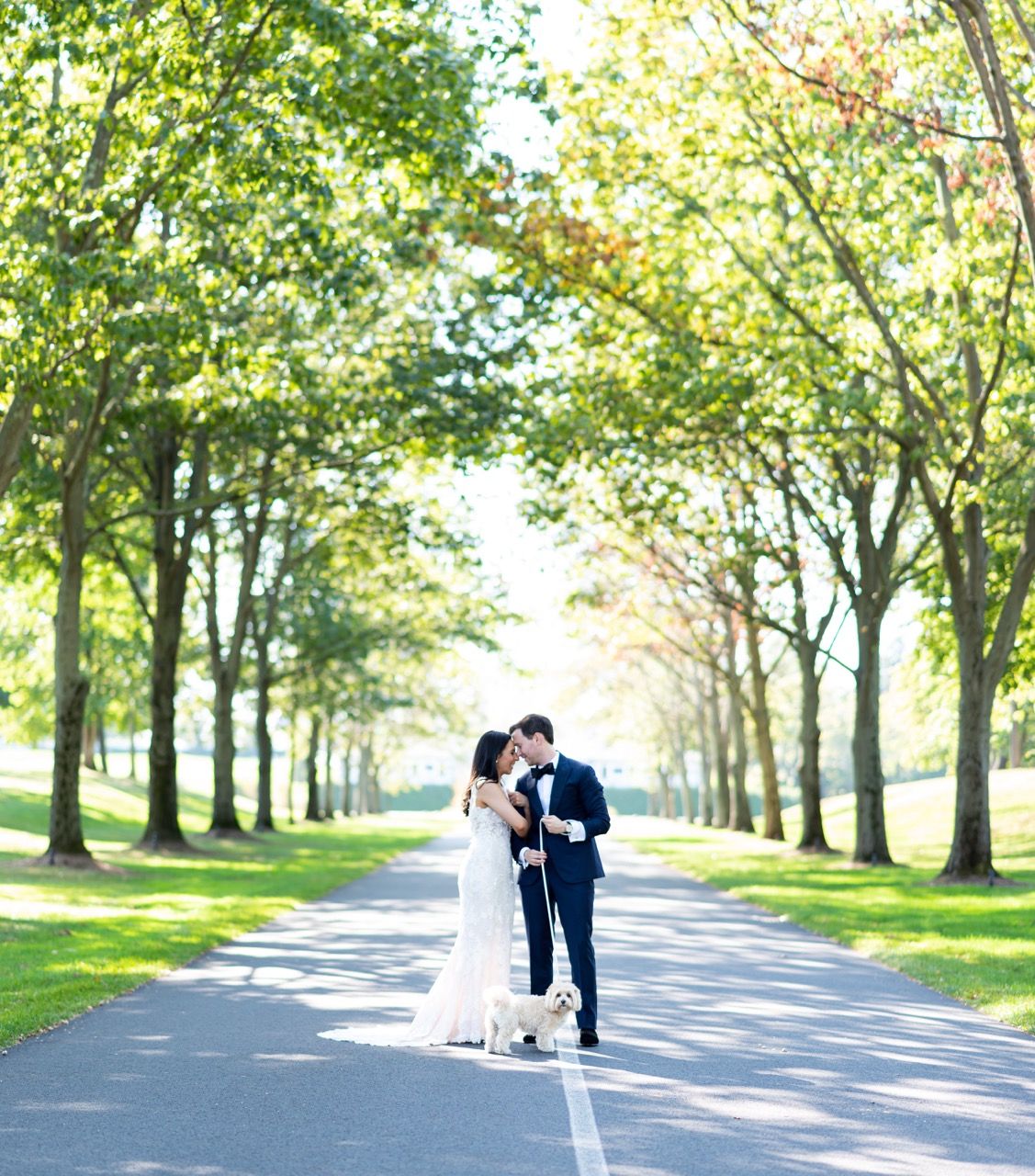 A couple shares a romantic moment on a tree-lined path during their luxury, wedding photoshoot.