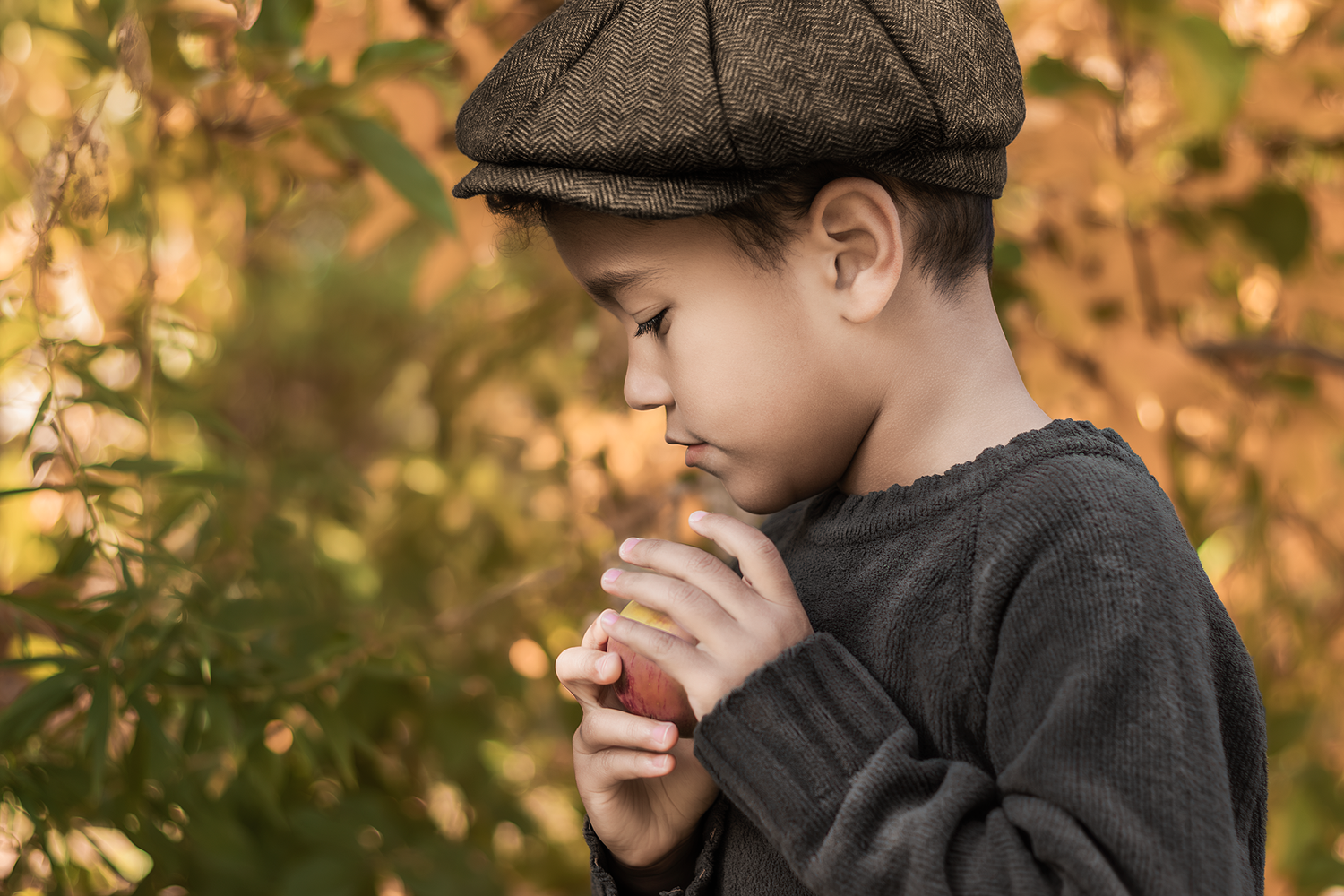 Lifestyle fall apple orchard session in Rochester NY