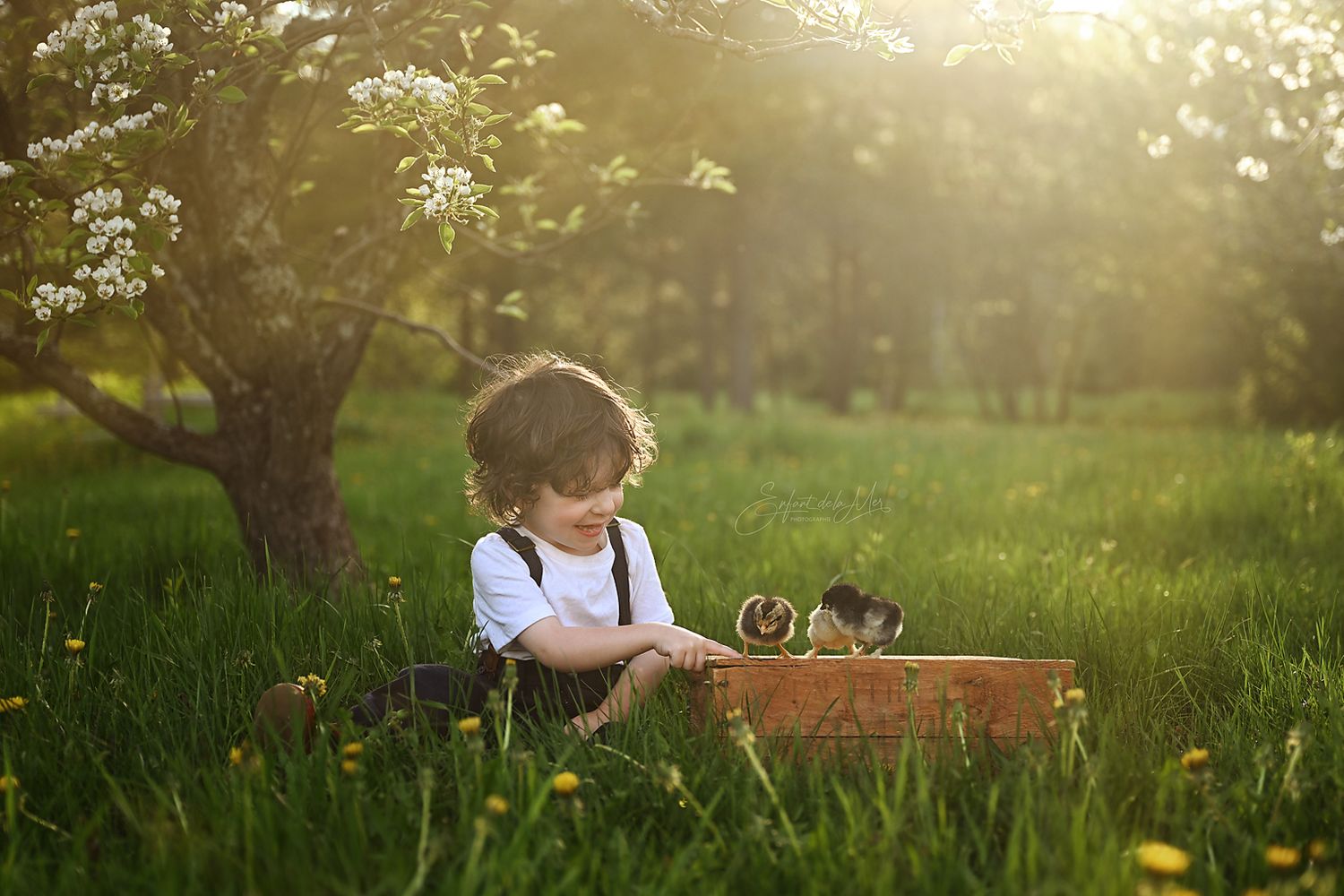 Une image qui respire la simplicité et la tendresse.