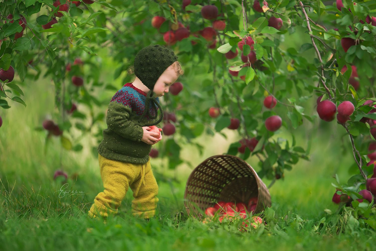 Un fragment d’enfance, doux et intemporel.