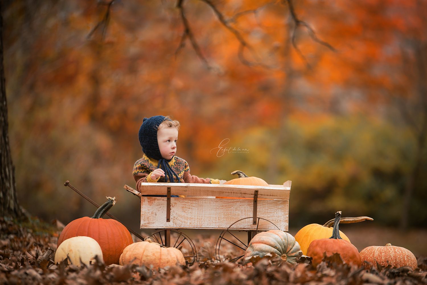 La nature éclaire ici la poésie de l’enfance