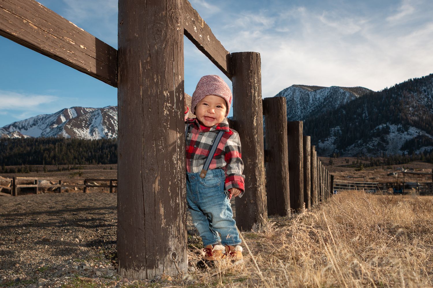 Rustic wooden posts stand against snow-capped mountains on a clear day.