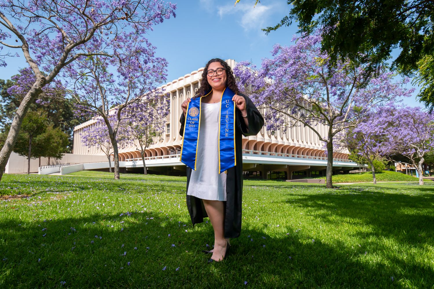 Beautiful purple jacaranda trees bloom on a grassy campus lawn with academic buildings in the background.