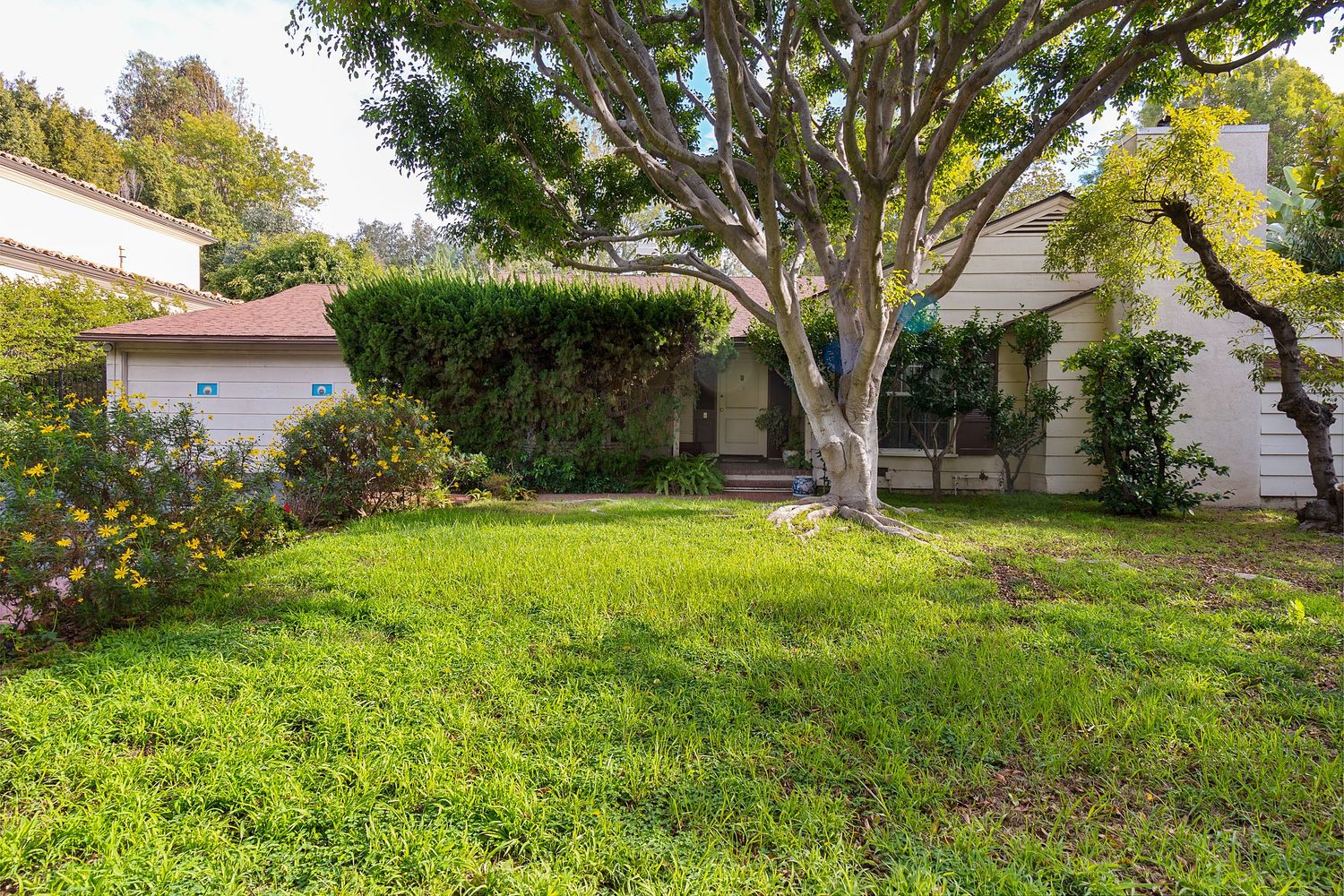 Expansive green lawn with mature trees and landscaping in a residential setting.